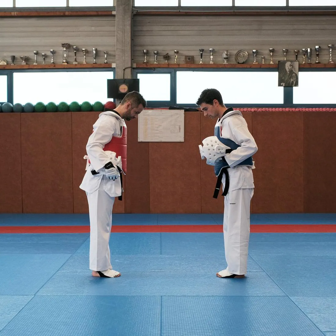 Adult Taekwondo Reversible Chest Guard 500
