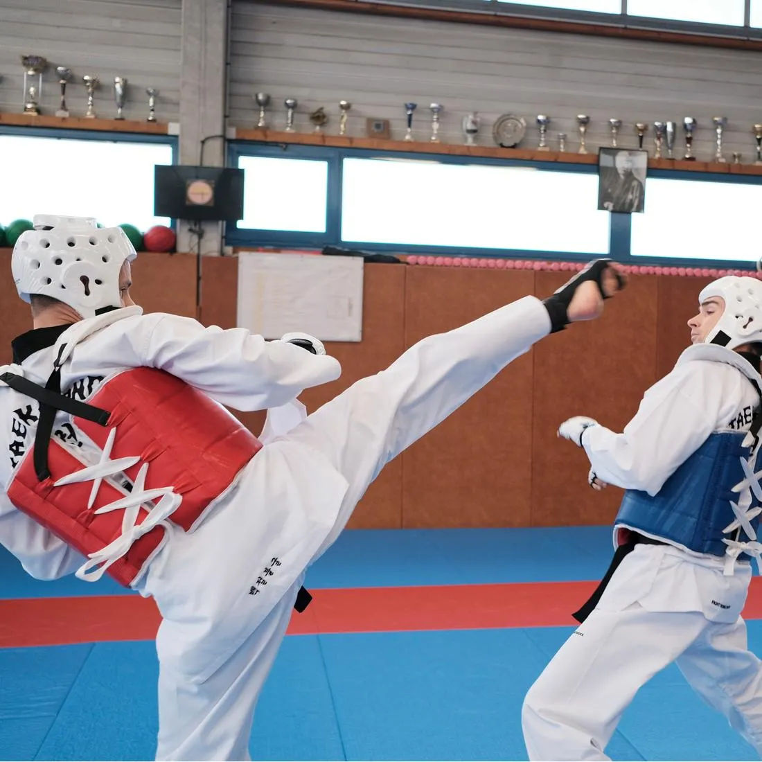Adult Taekwondo Reversible Chest Guard 500