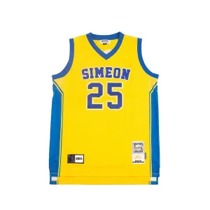 DERRICK ROSE HIGH SCHOOL BASKETBALL JERSEY YELLOW