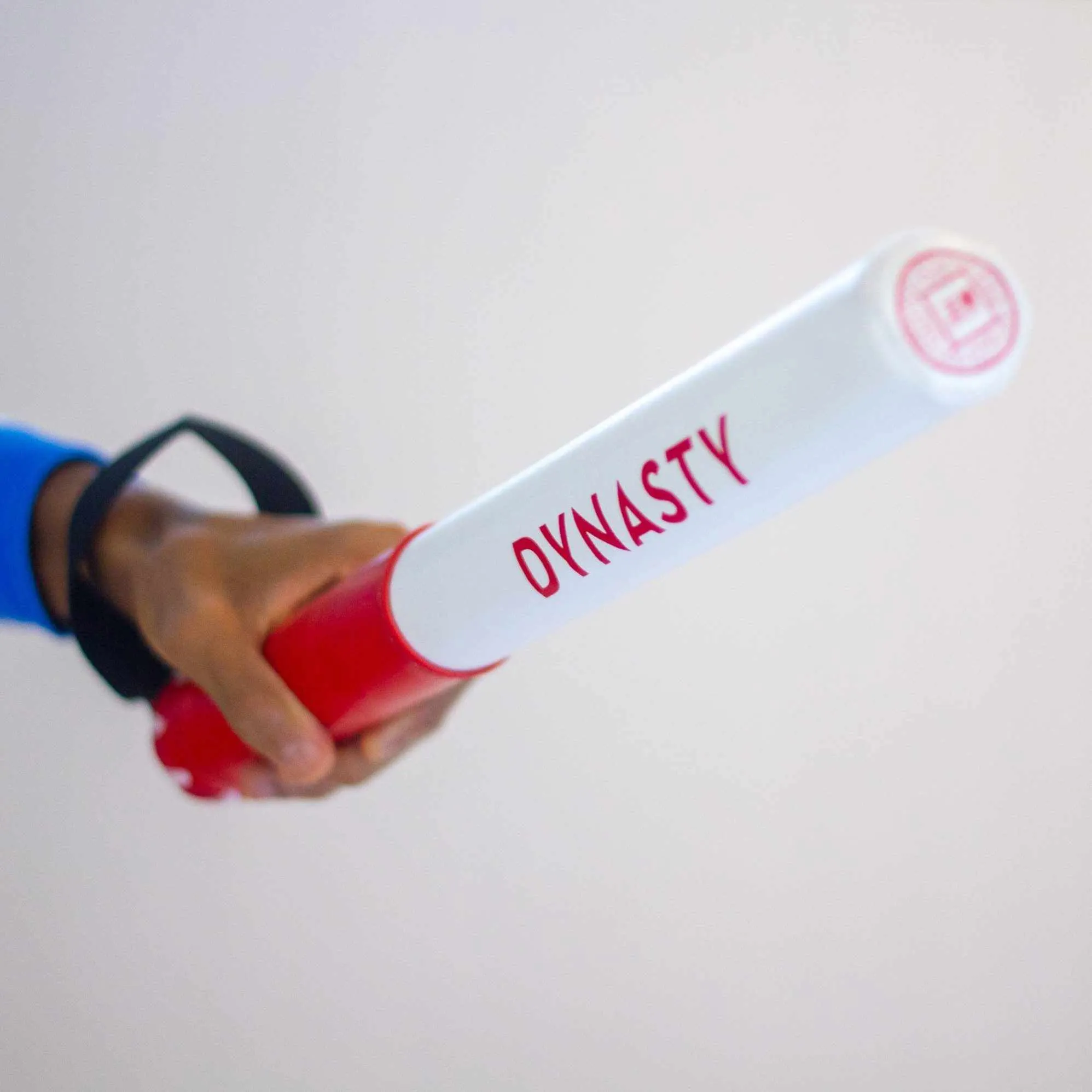 Dynasty Boxing Trainer Sticks