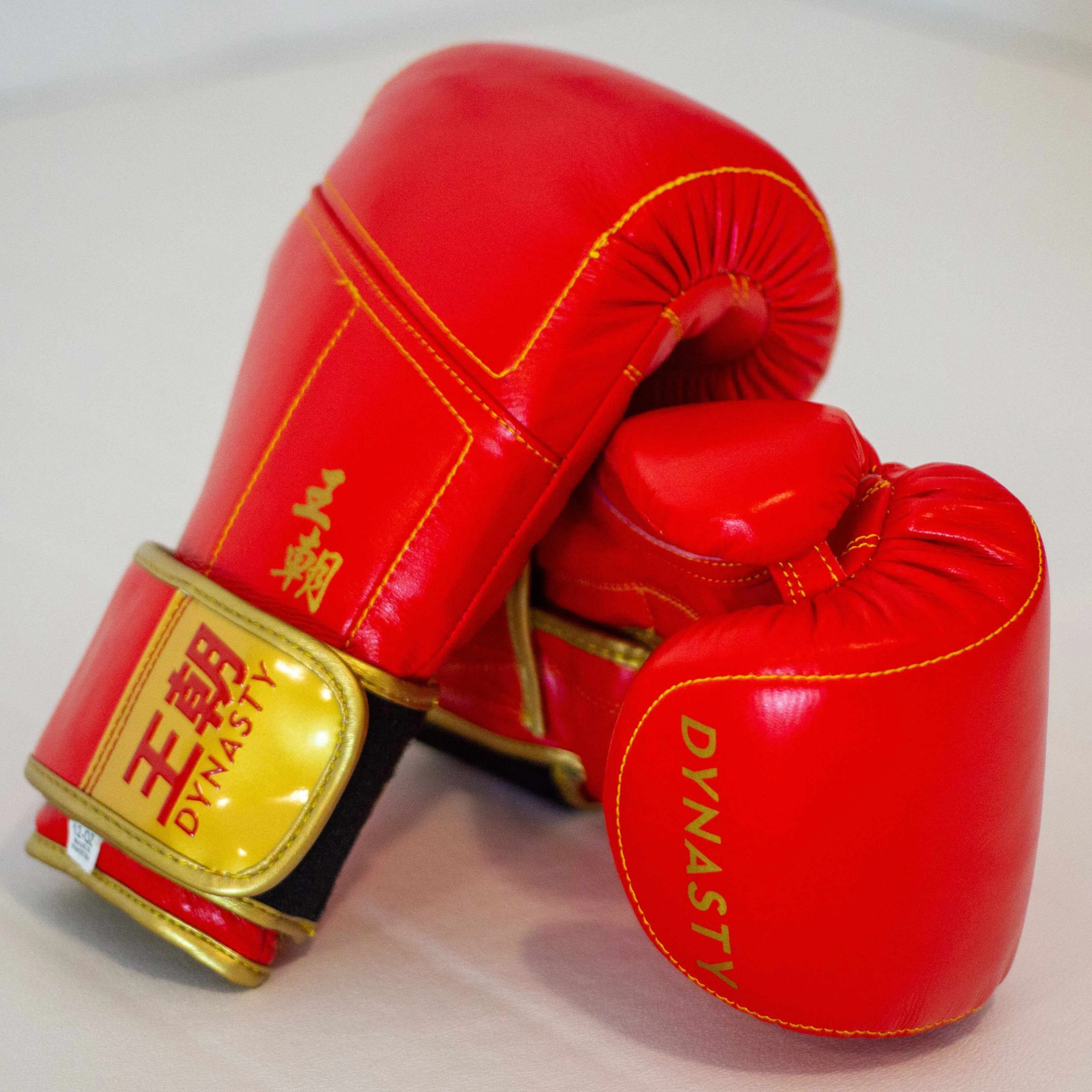 Dynasty Champion 12oz Boxing Gloves