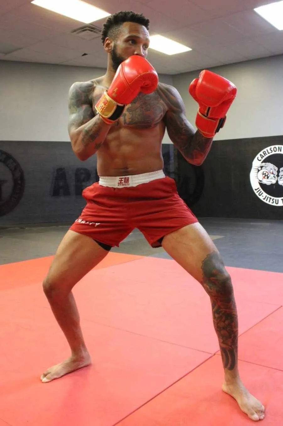 Dynasty Champion 12oz Boxing Gloves