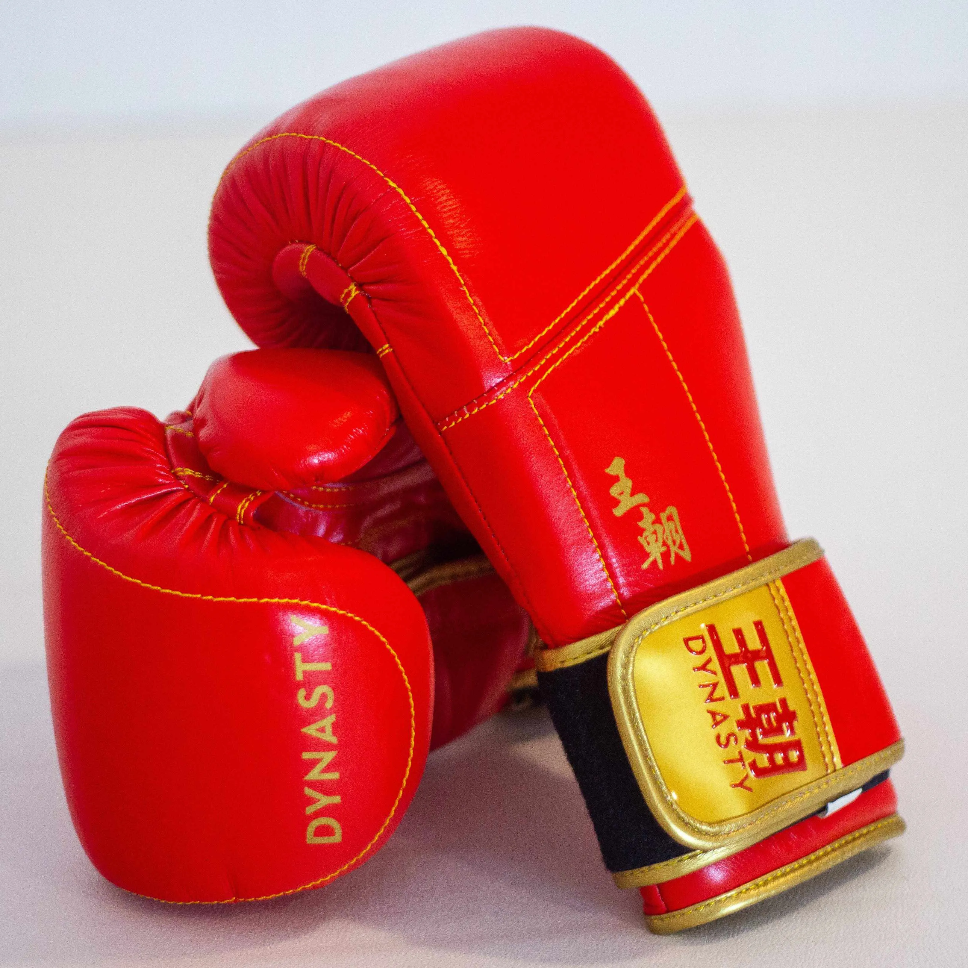 Dynasty Champion 12oz Boxing Gloves