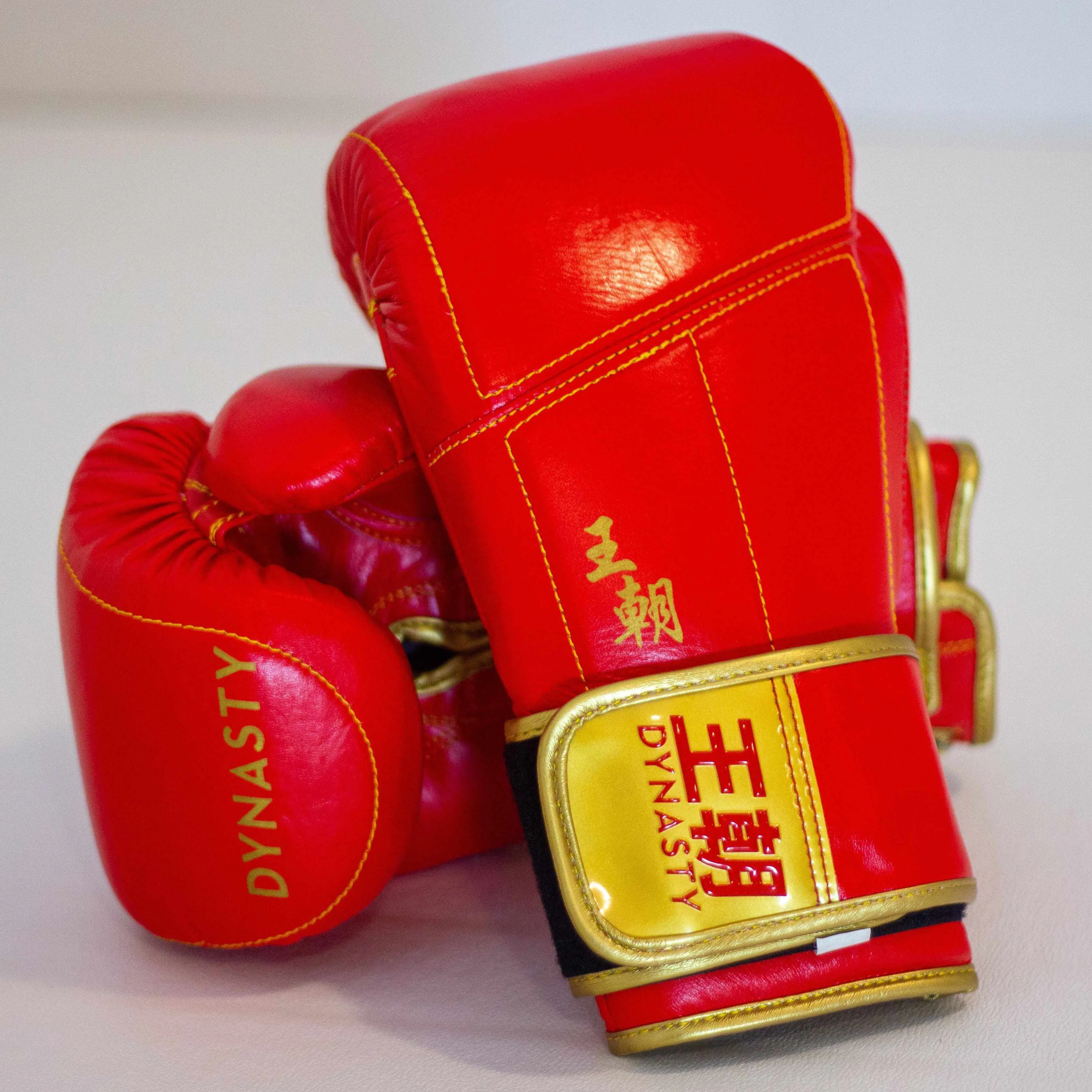 Dynasty Champion 12oz Boxing Gloves