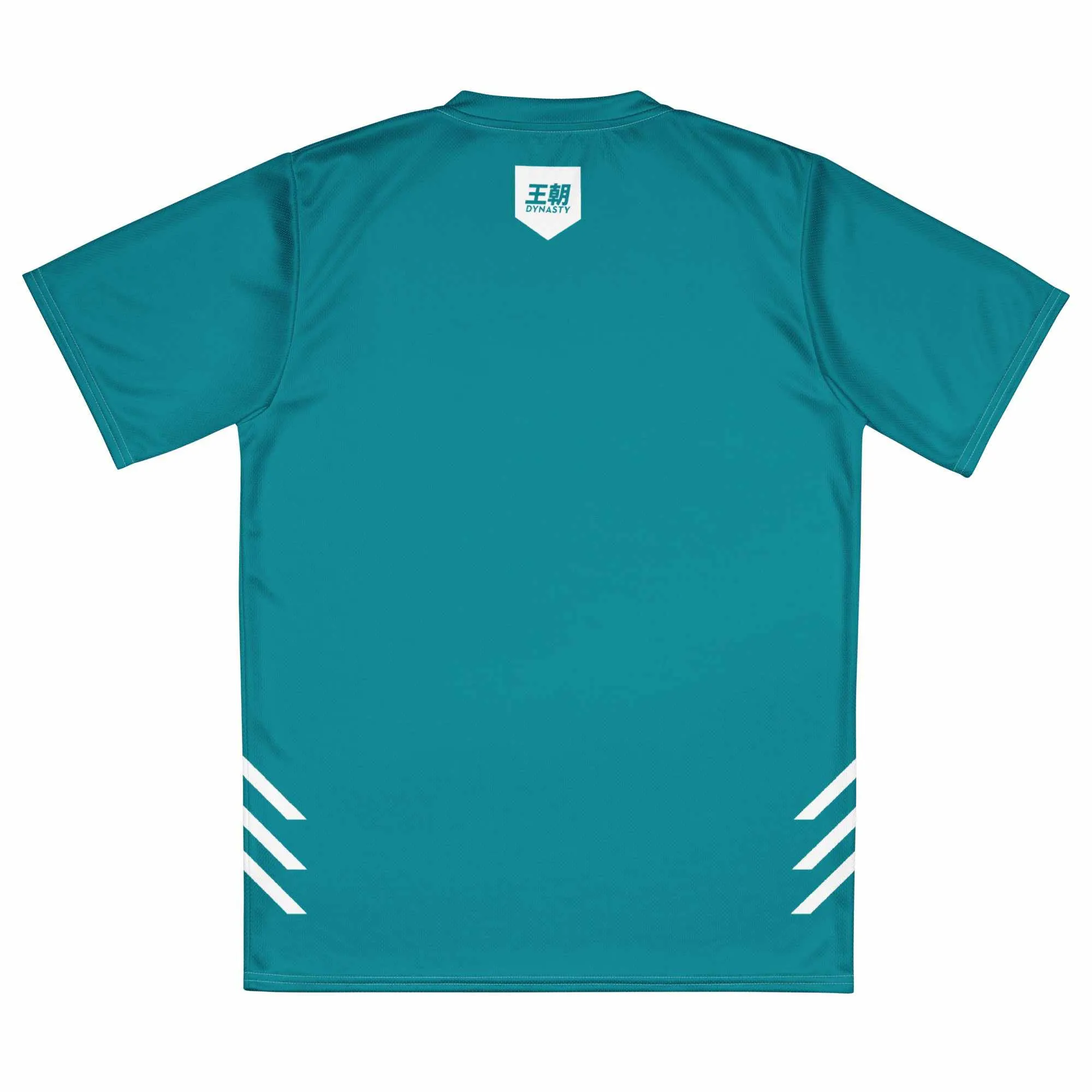 Dynasty Combat Sports Training Shirt (Teal)