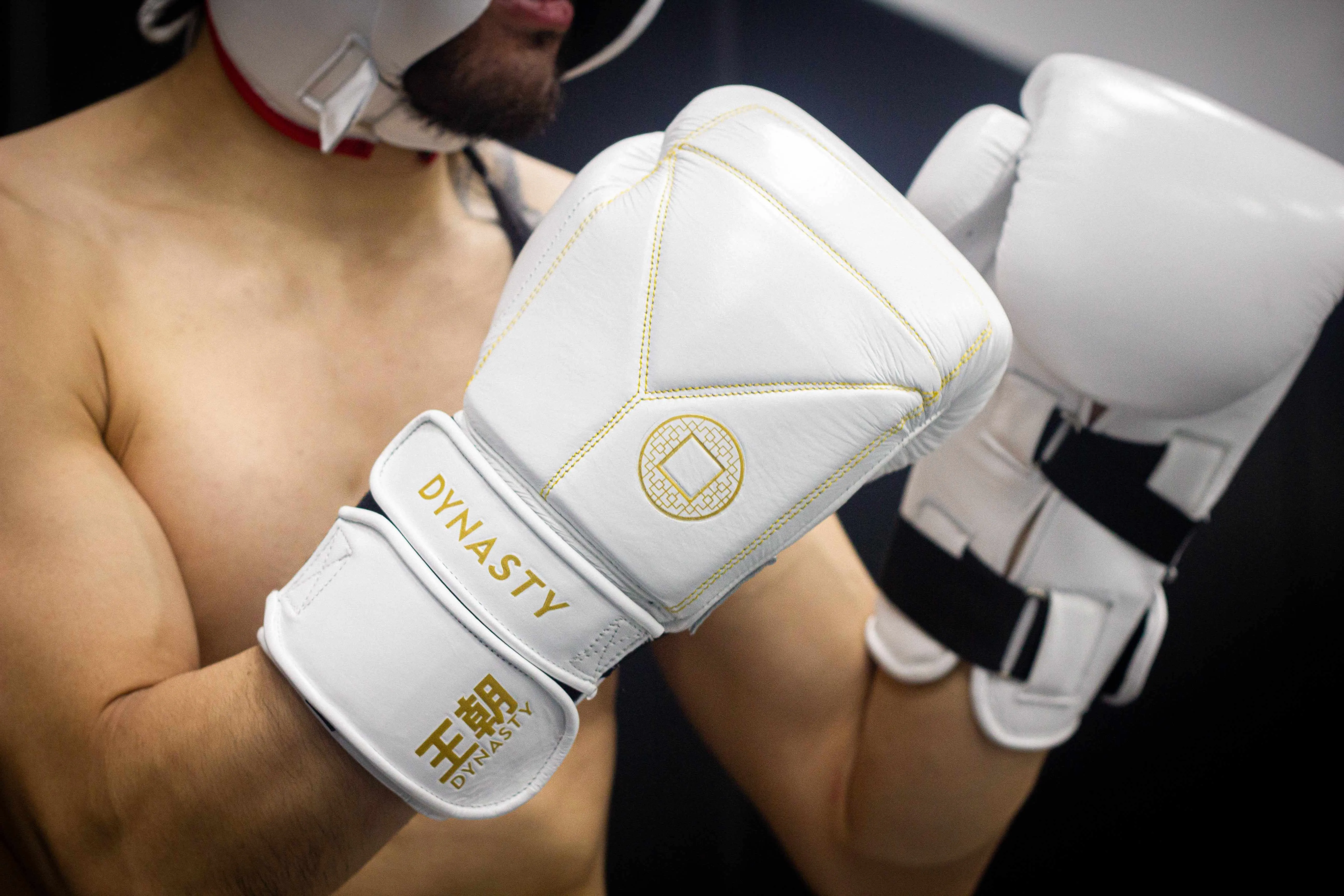 Dynasty Diamond Pro Training Gloves (White / Gold)