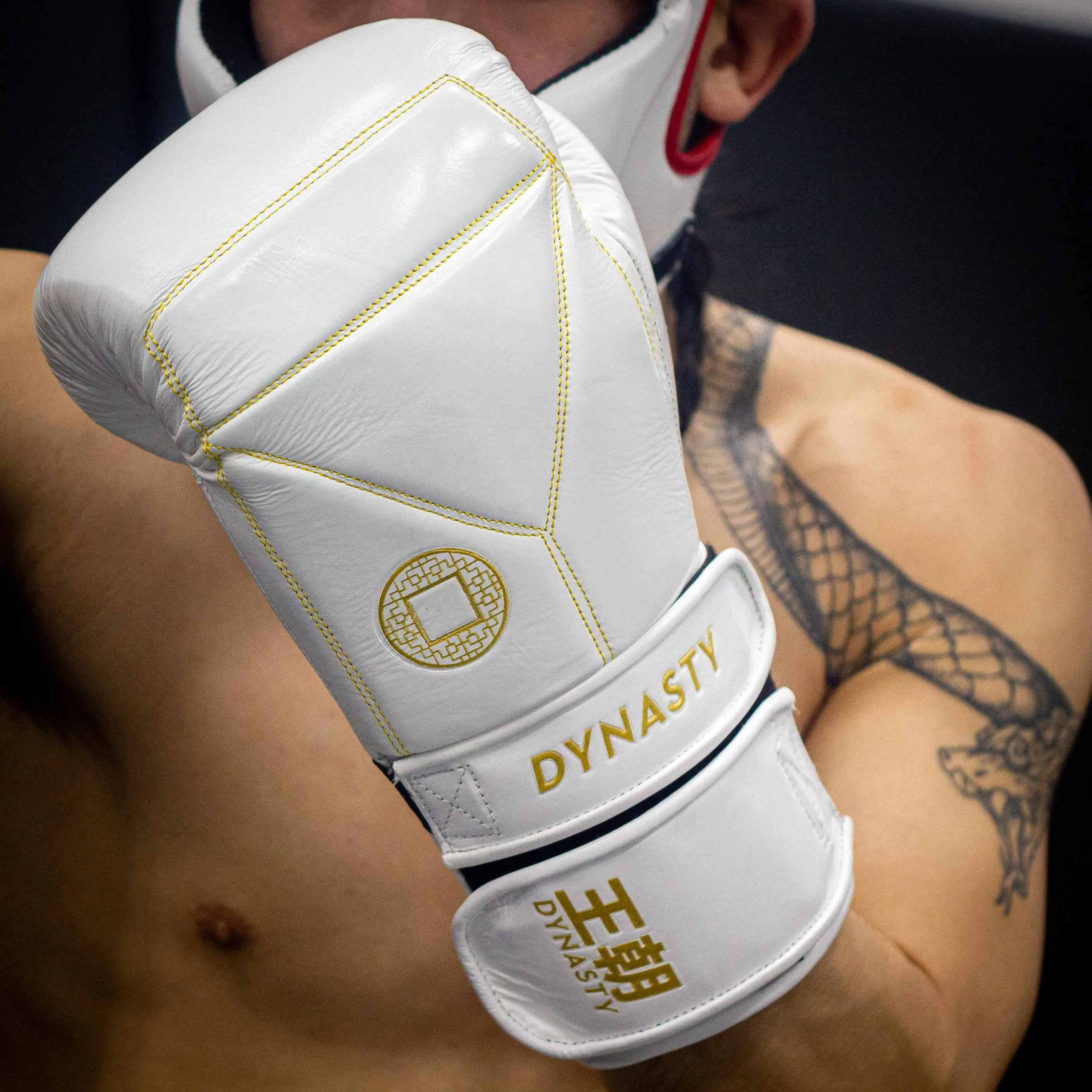 Dynasty Diamond Pro Training Gloves (White / Gold)