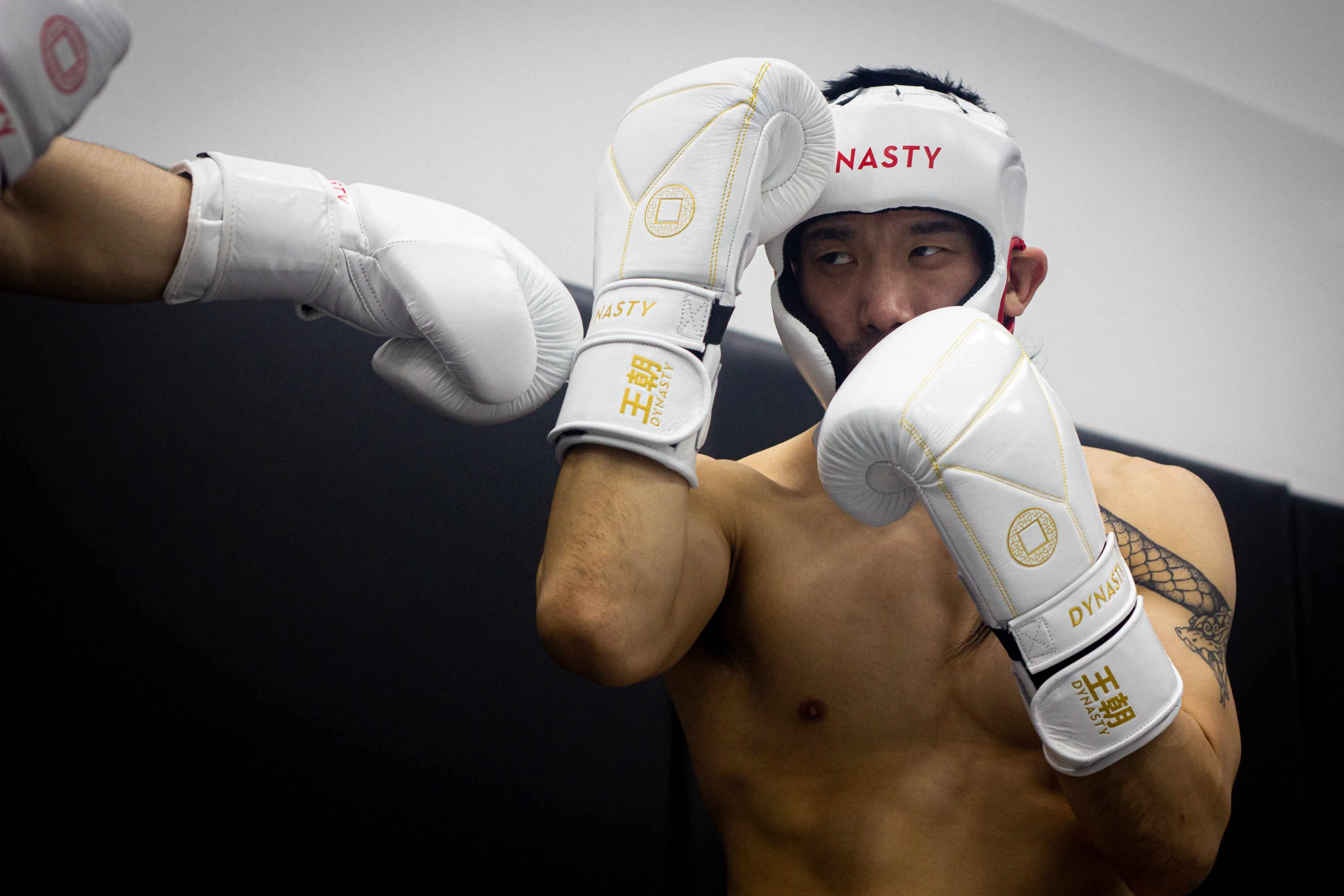 Dynasty Diamond Pro Training Gloves (White / Gold)