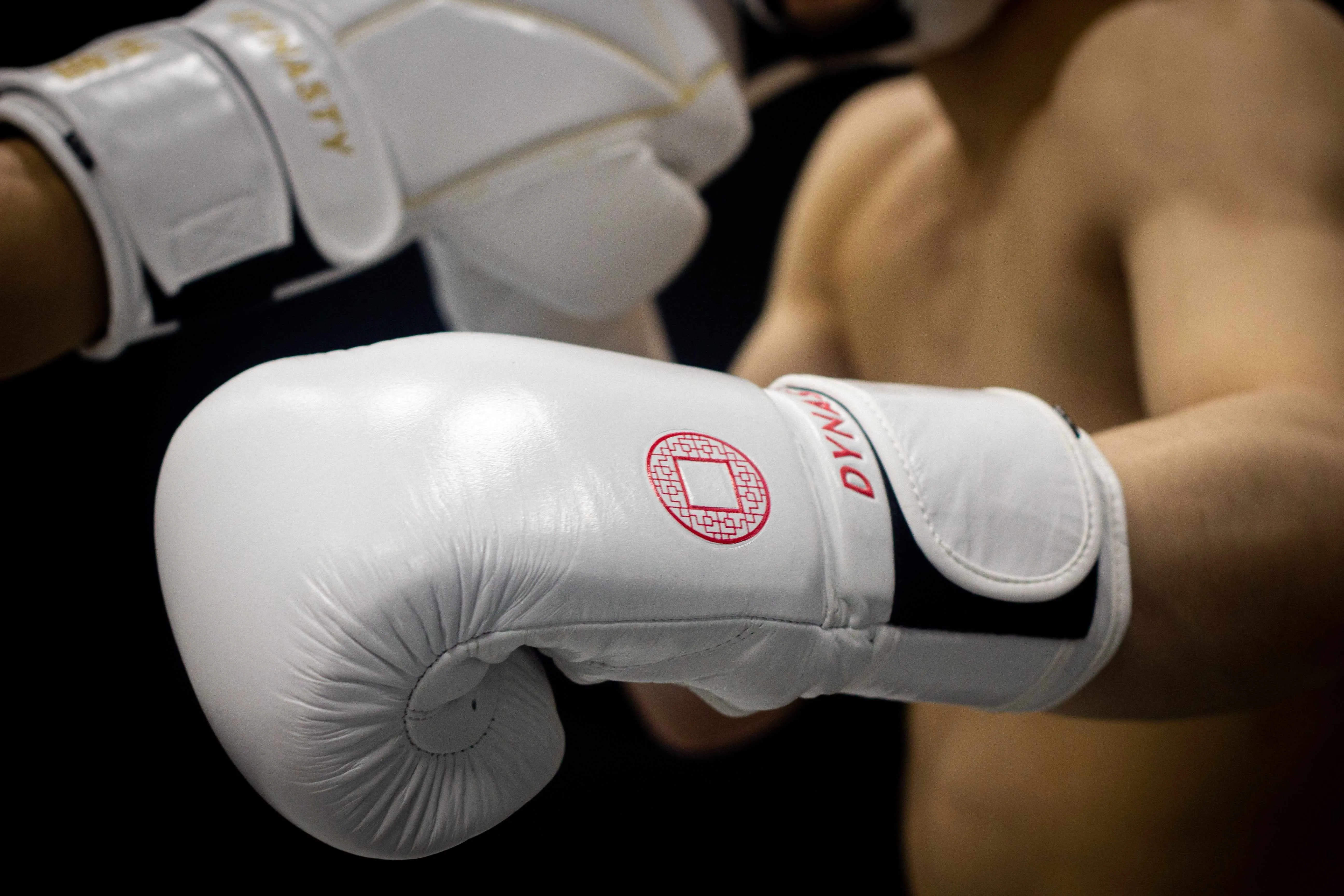 Dynasty Emperor 3 Boxing Gloves (White / Red)