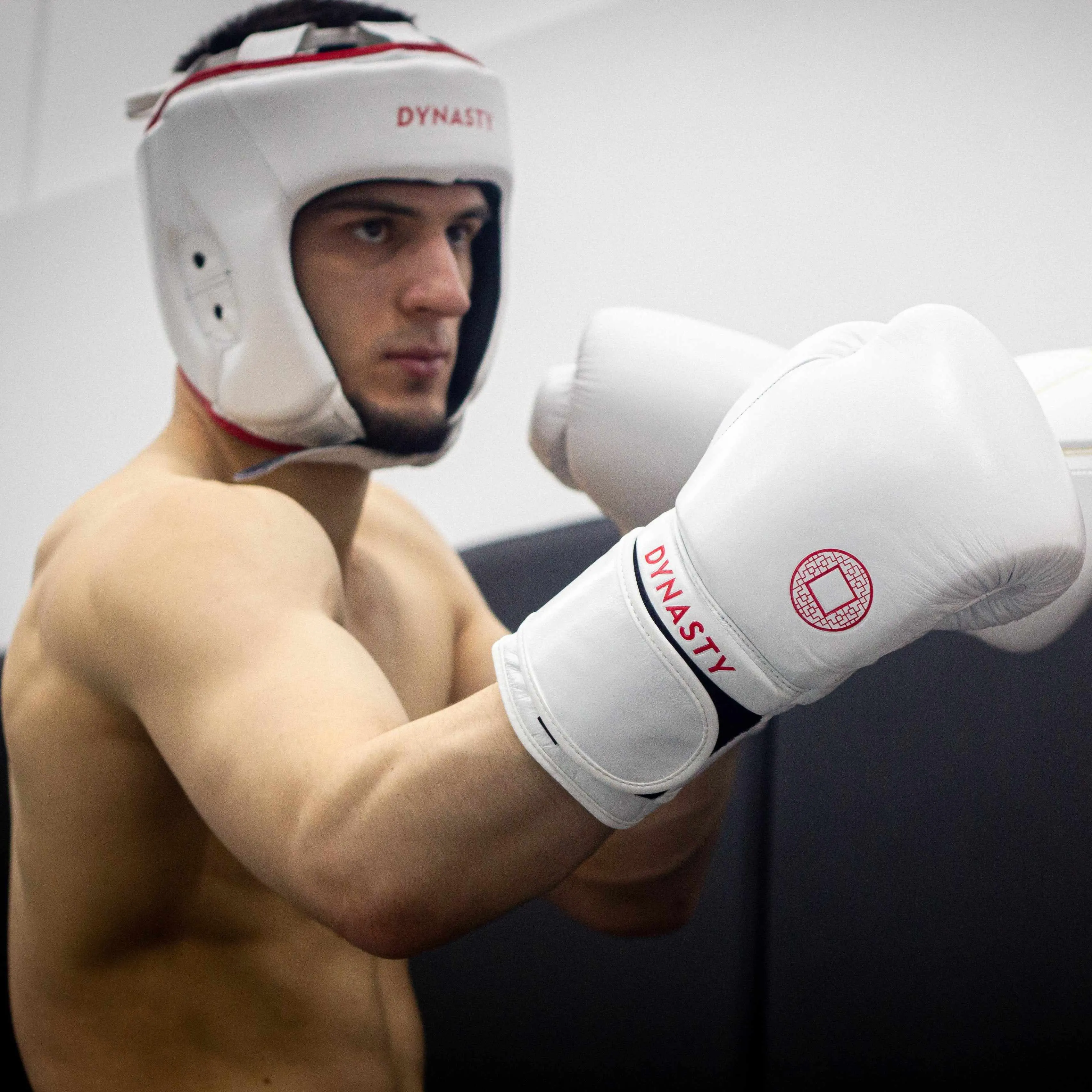 Dynasty Emperor 3 Boxing Gloves (White / Red)