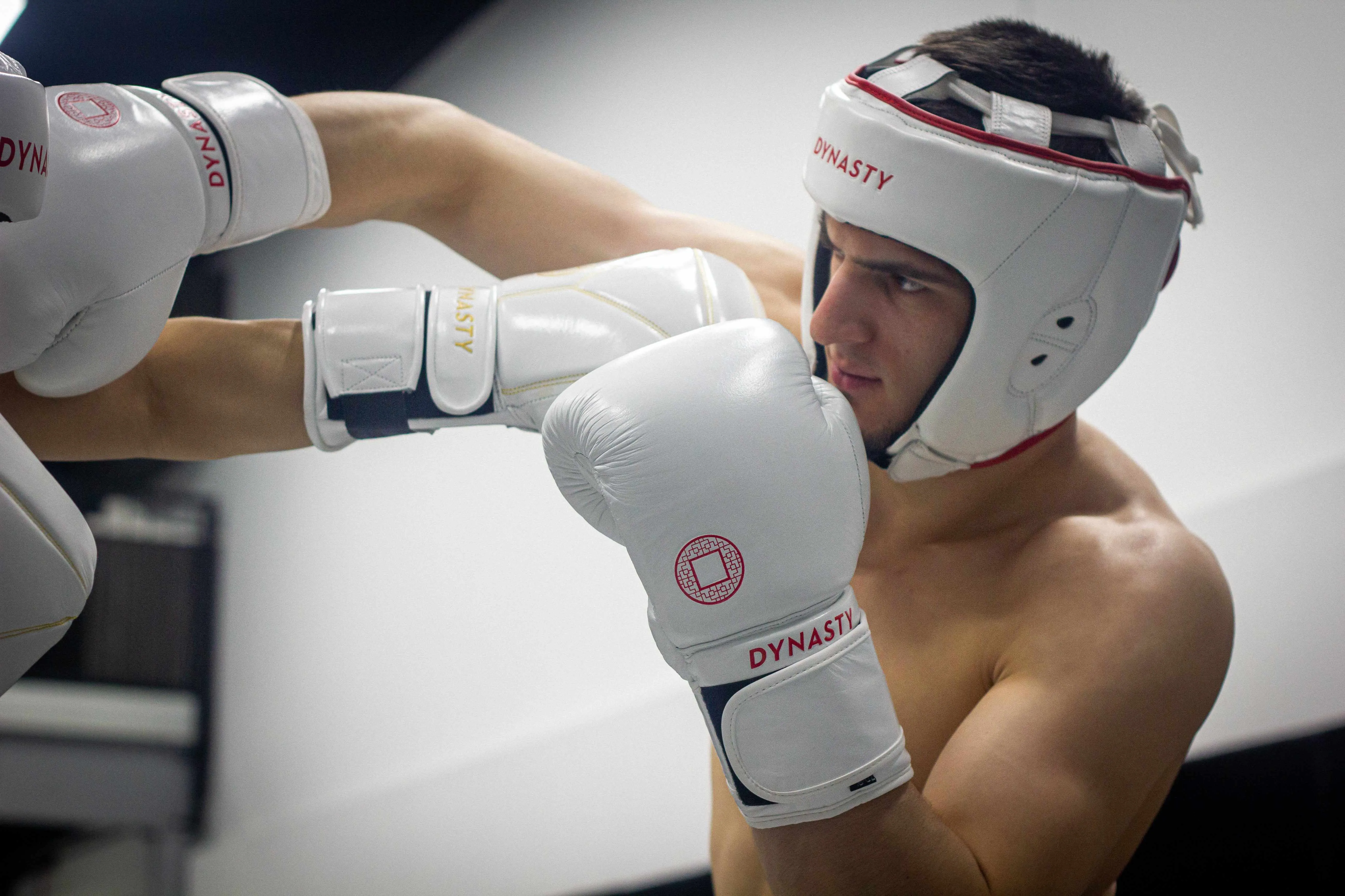 Dynasty Emperor 3 Boxing Gloves (White / Red)