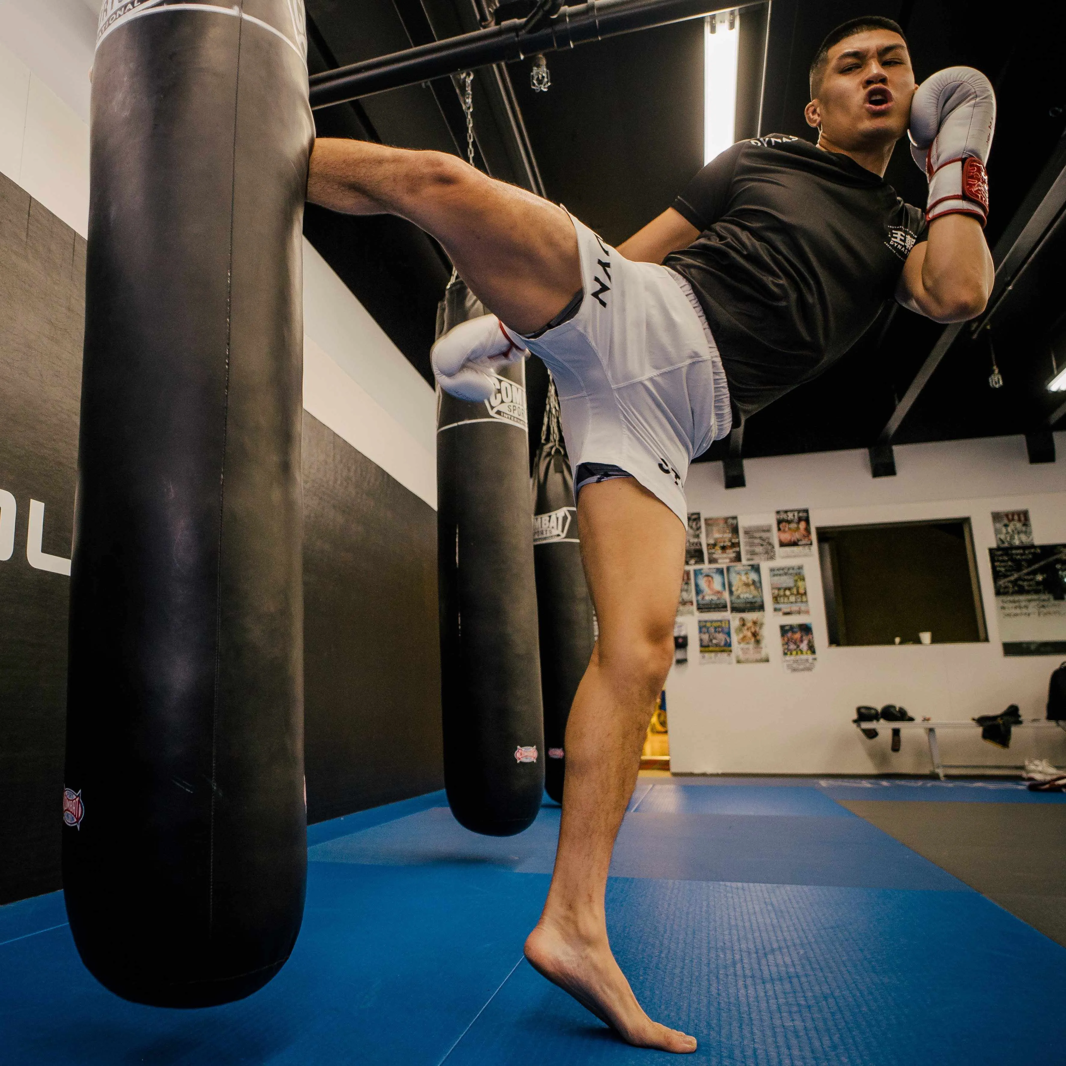 Dynasty Hybrid Competition Shorts (White)