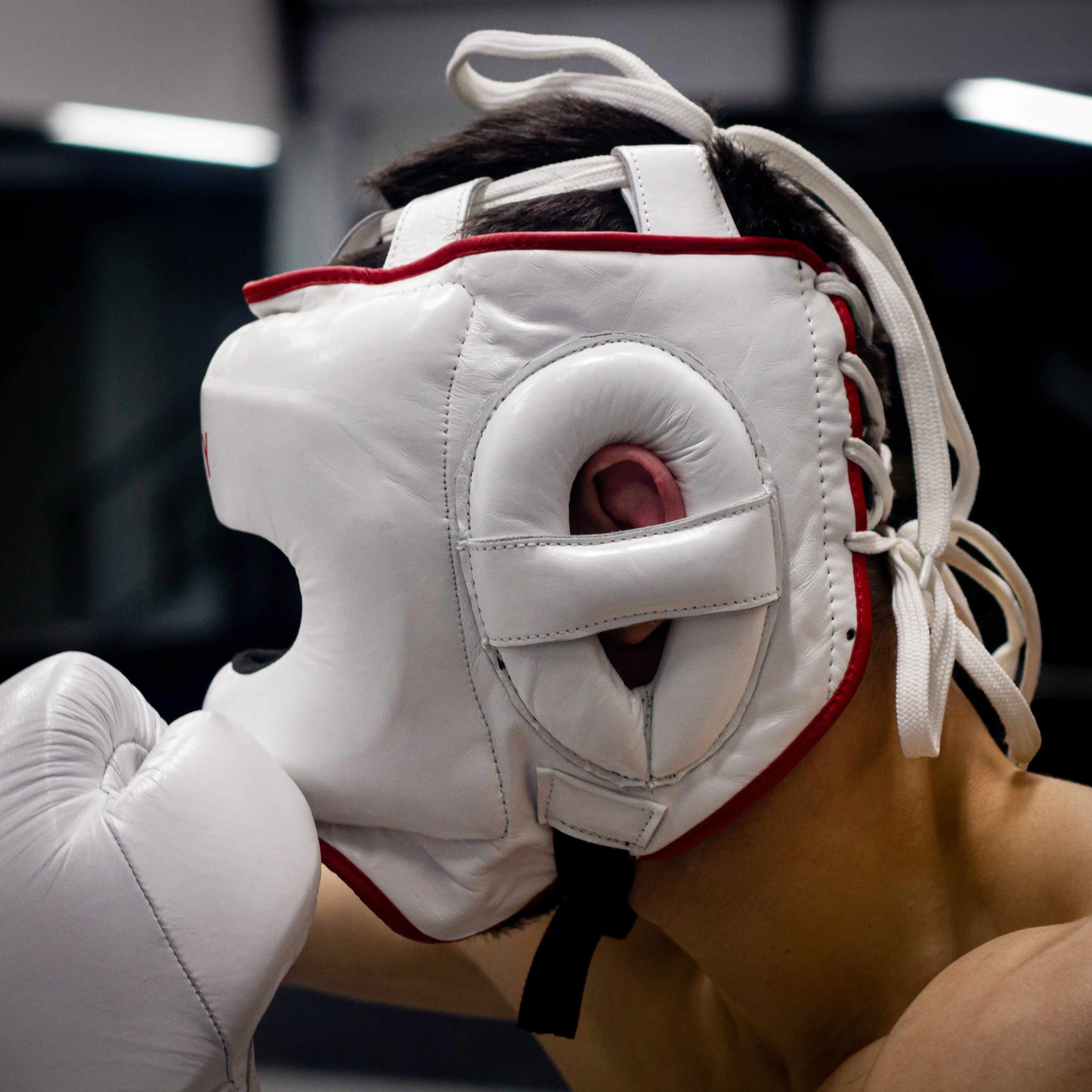 Dynasty Pro Face Saver Headgear