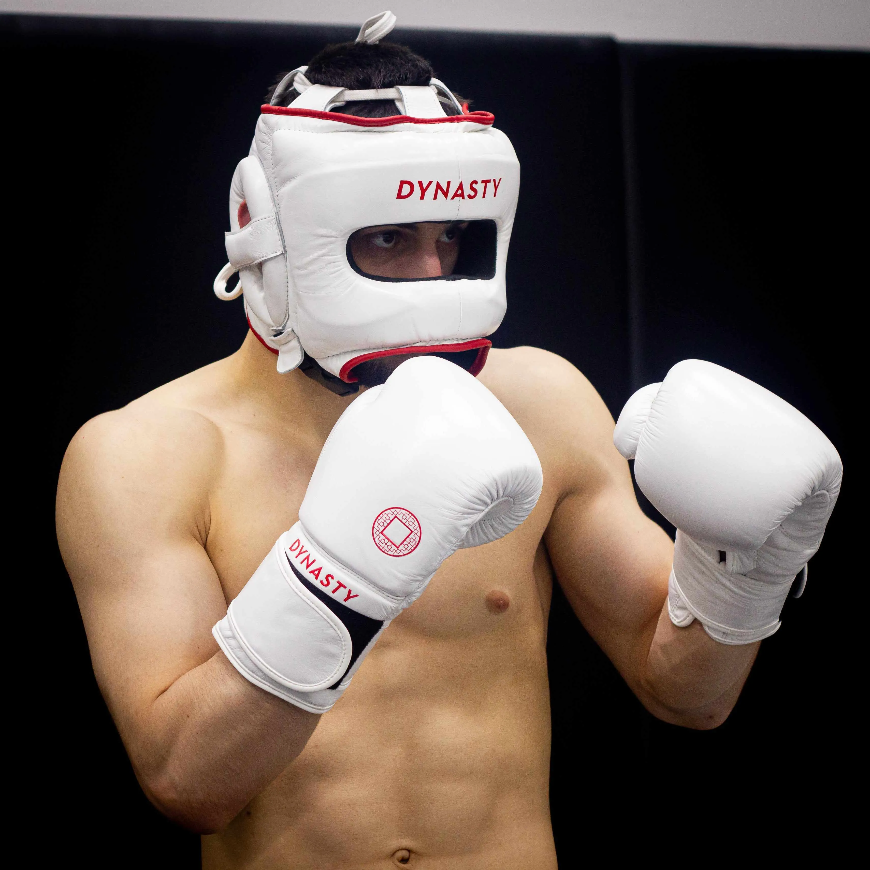 Dynasty Pro Face Saver Headgear