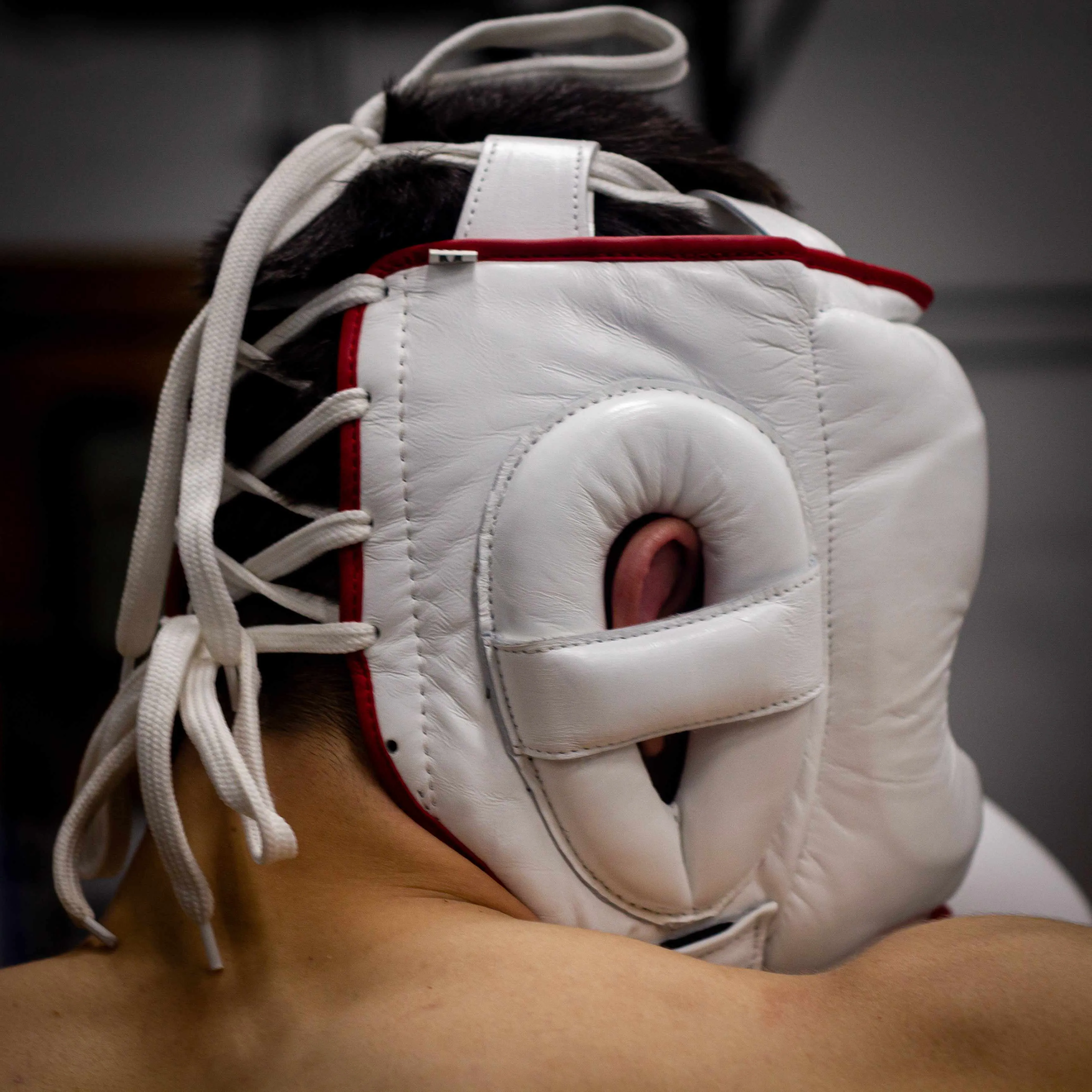 Dynasty Pro Face Saver Headgear