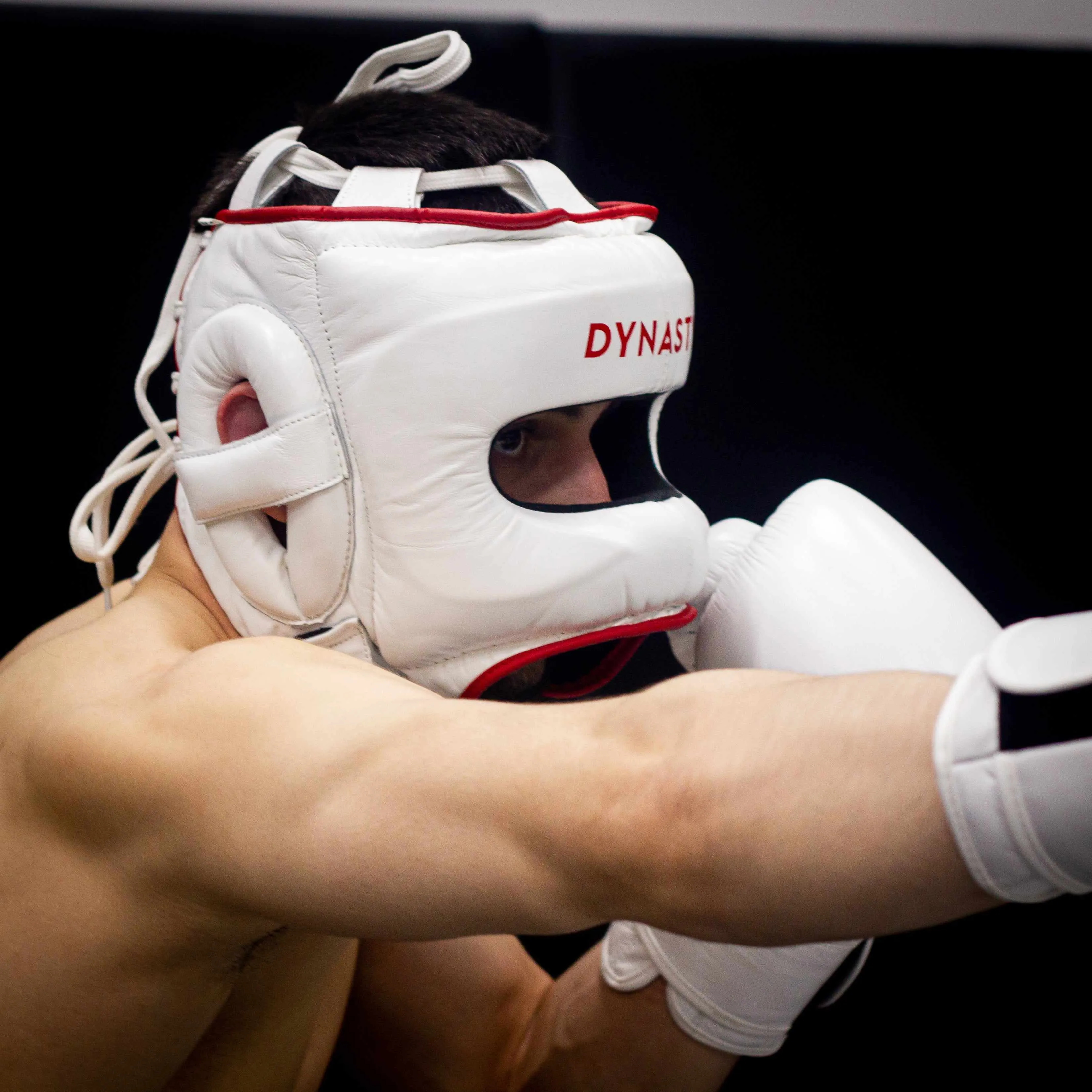 Dynasty Pro Face Saver Headgear