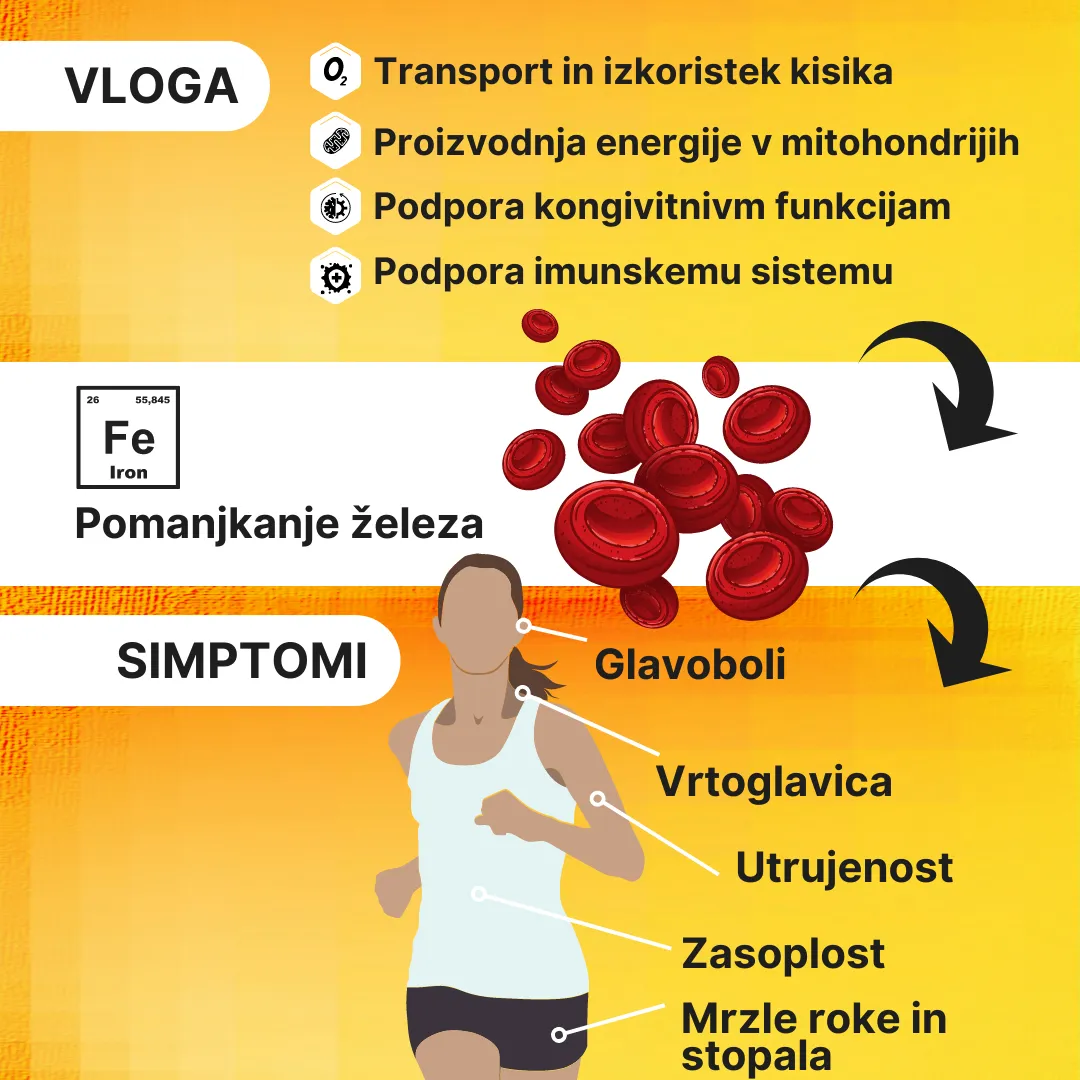 Železo 