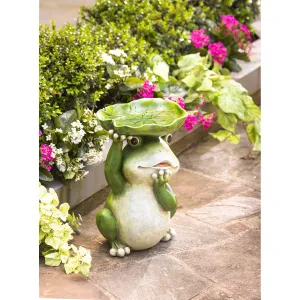 Frog Resin Bird bath,2gb6963