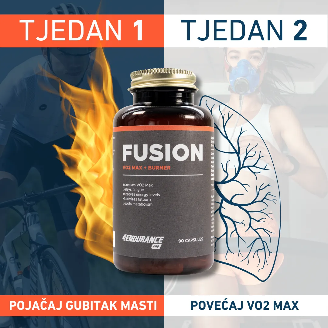 Fusion
