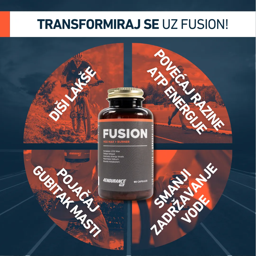 Fusion