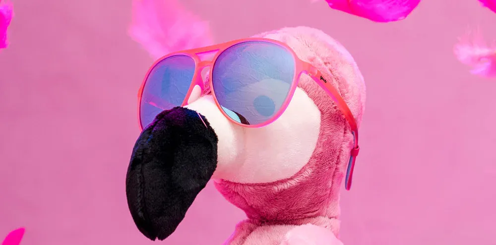 Goodr Sunglasses Carl Is My Co-Pilot