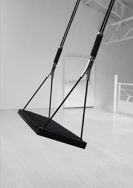 Indoor Luxury swing