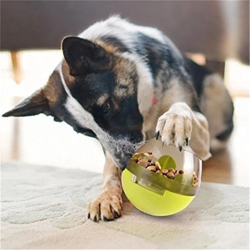 Interactive Pet Toy IQ Training Supplies