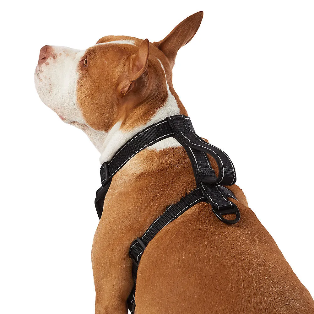 KONG® MAX Neoprene Padded Ultra Durable Dog Harness