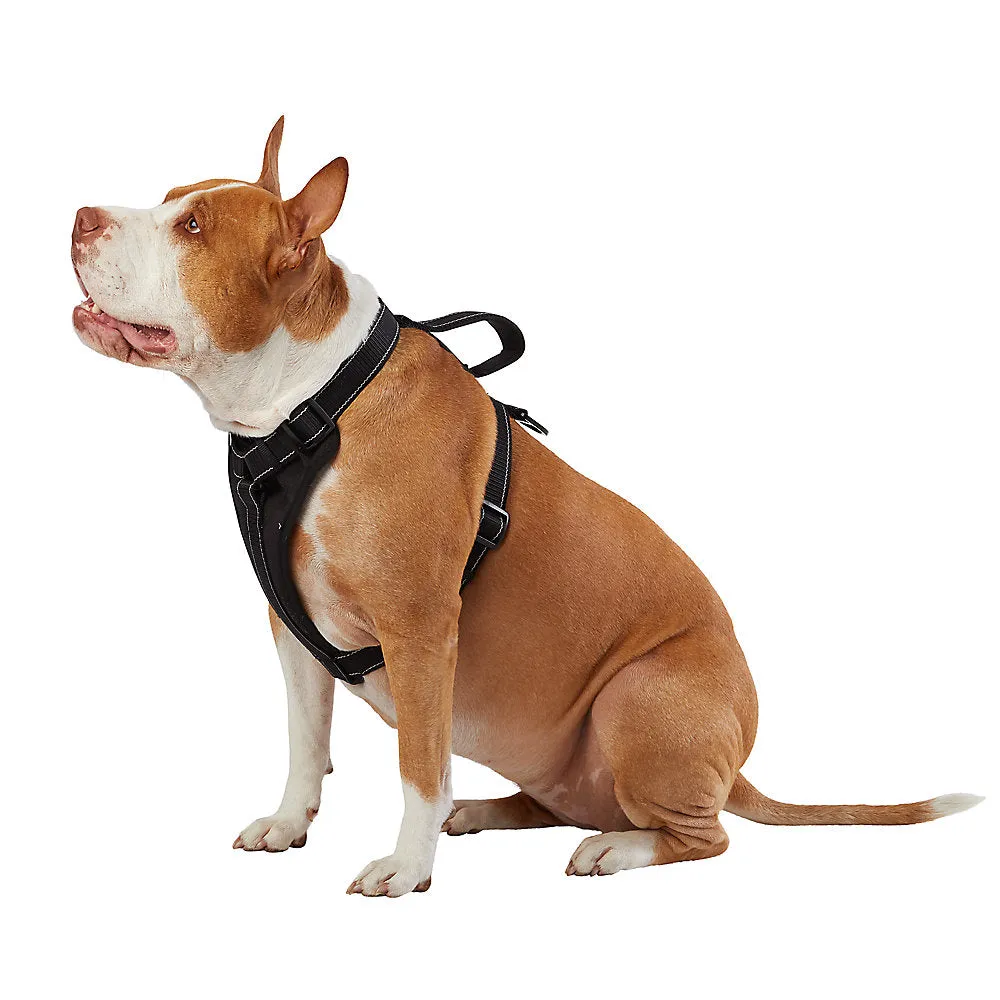 KONG® MAX Neoprene Padded Ultra Durable Dog Harness
