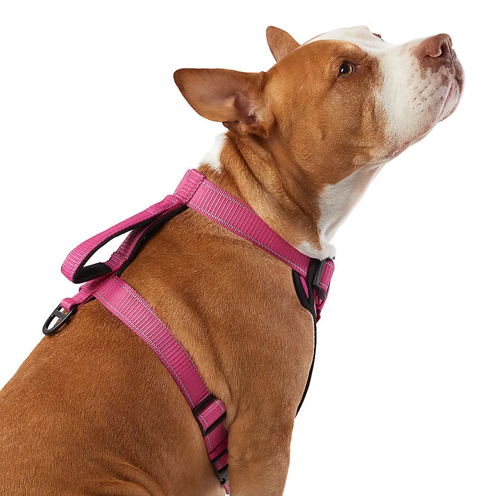 KONG® MAX Neoprene Padded Ultra Durable Dog Harness