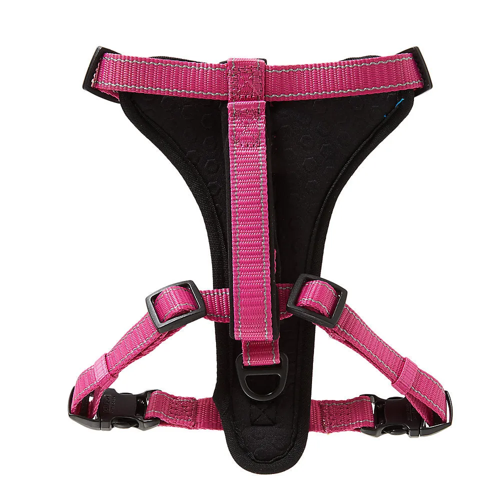 KONG® MAX Neoprene Padded Ultra Durable Dog Harness