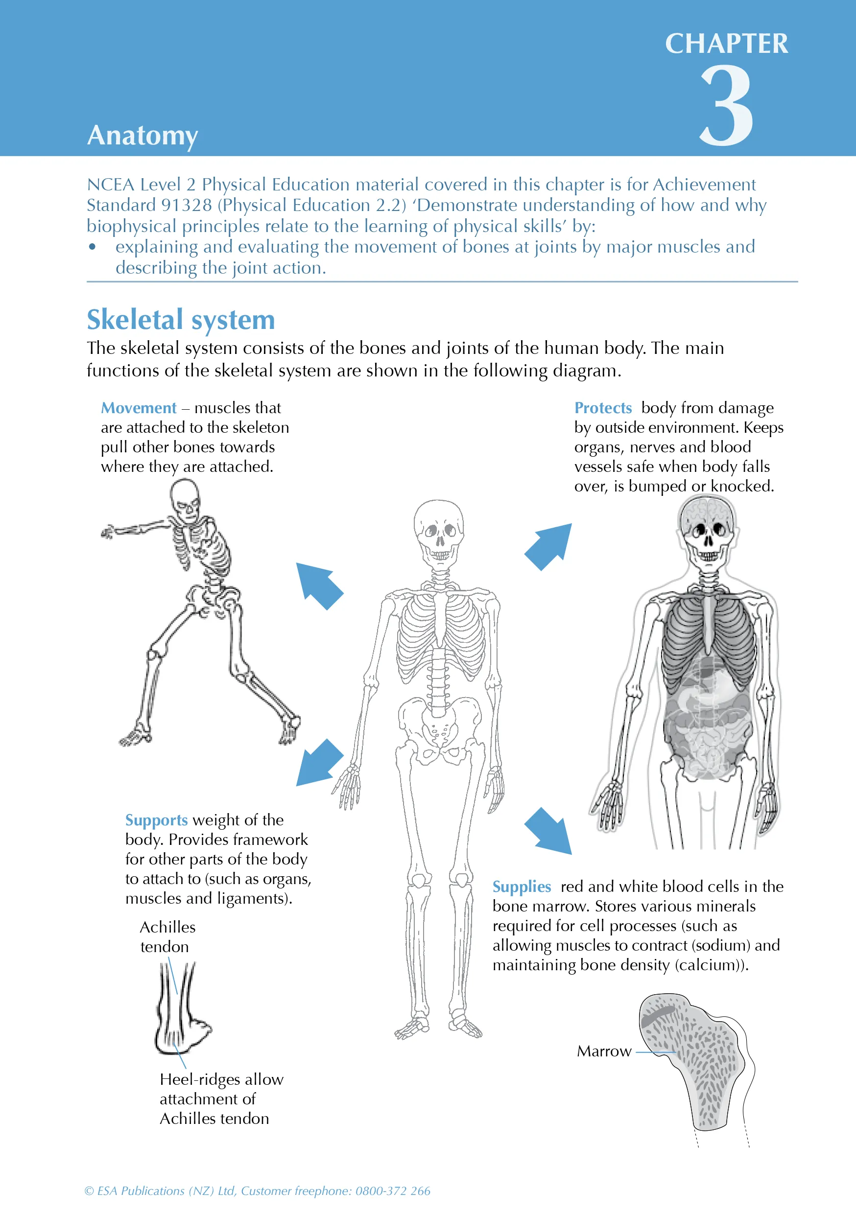 Level 2 Physical Education ESA Study Guide