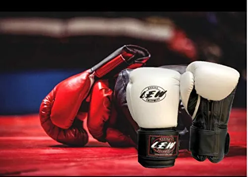 LEW White/Black Boxing Gloves for Training/ Muaythai/Punching Bag/Sparring with a Pair of Hand Wraps (White, 14 OZ)