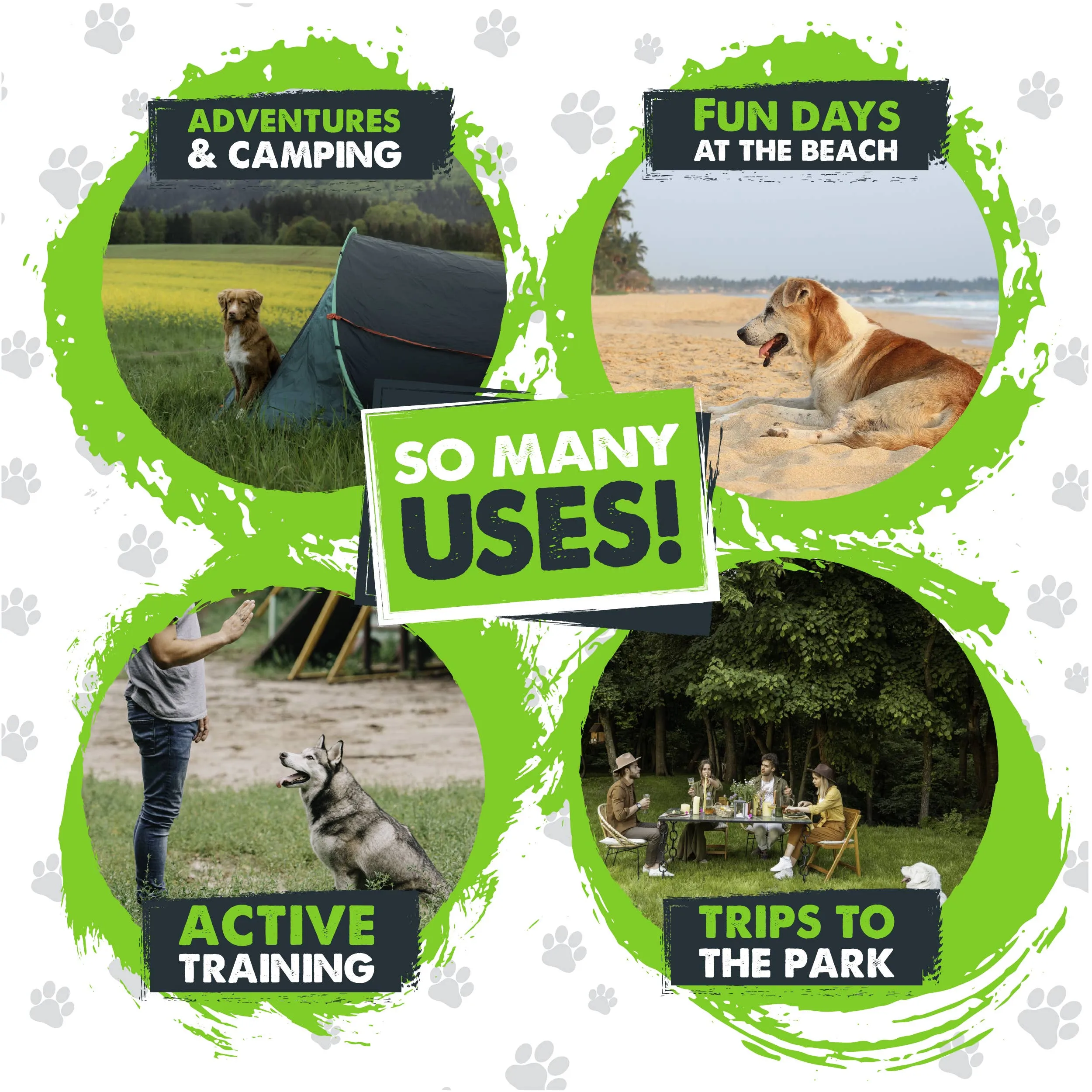 Mighty Paw - Durable Dog Tie Out Stake for Secure Outdoor Play