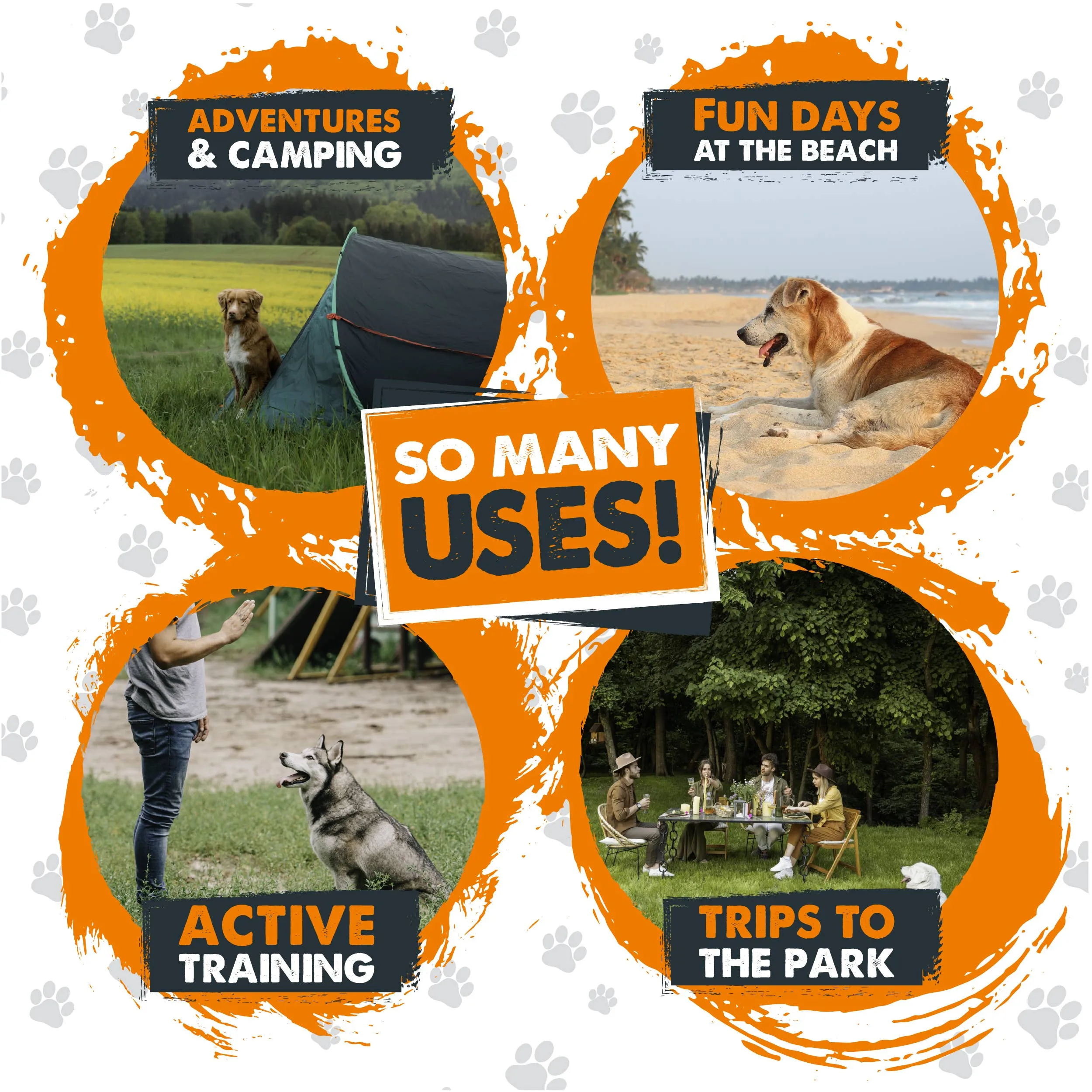 Mighty Paw - Durable Dog Tie Out Stake for Secure Outdoor Play