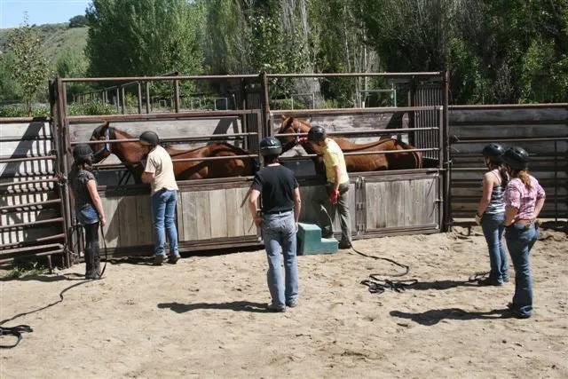 Monty Roberts NEW Advanced Course: 41 DAYS