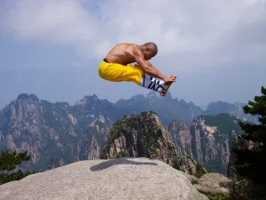 Online Training Course - 40 Day Shaolin Challenge