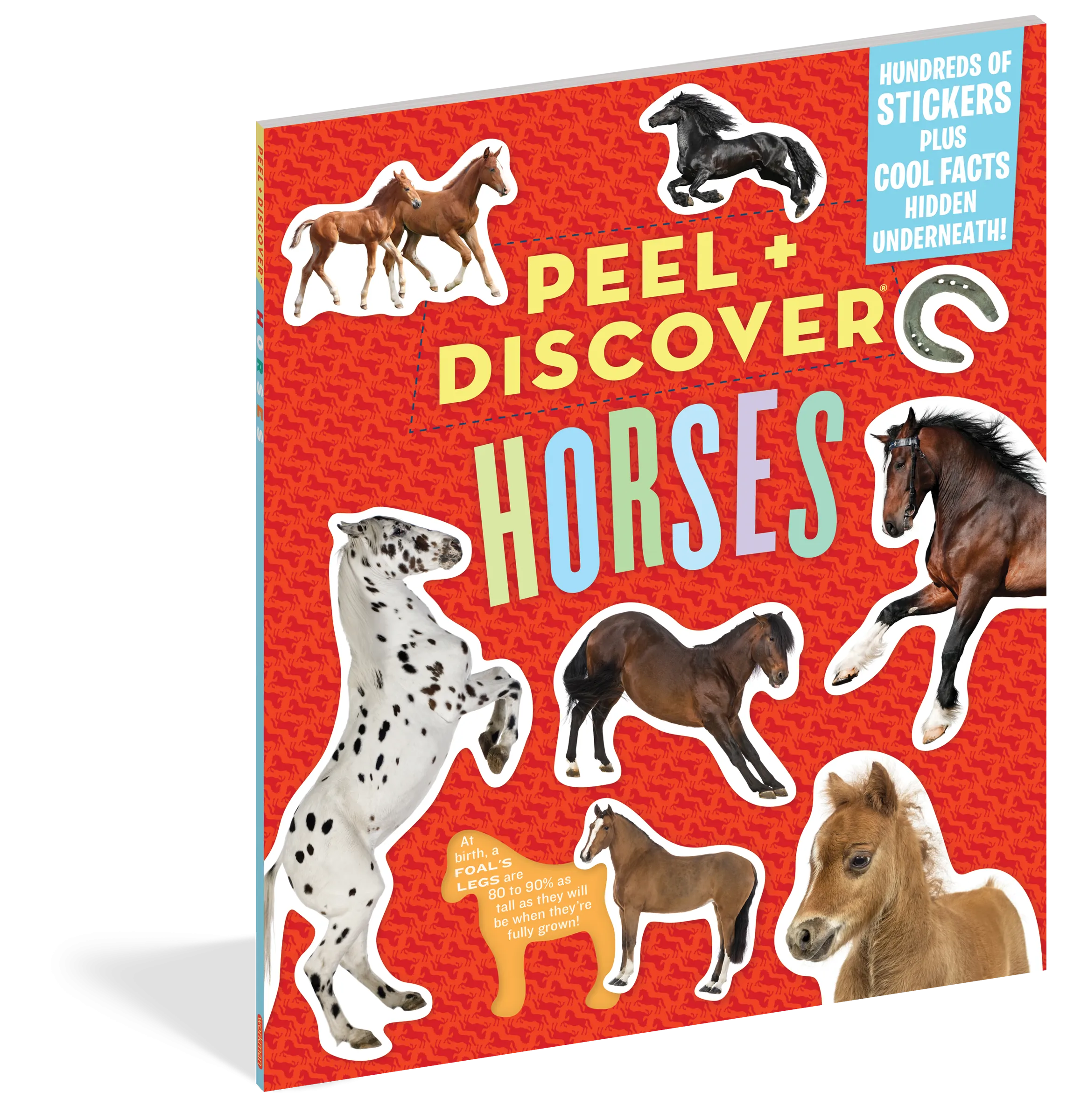 Peel   Discover: Horses