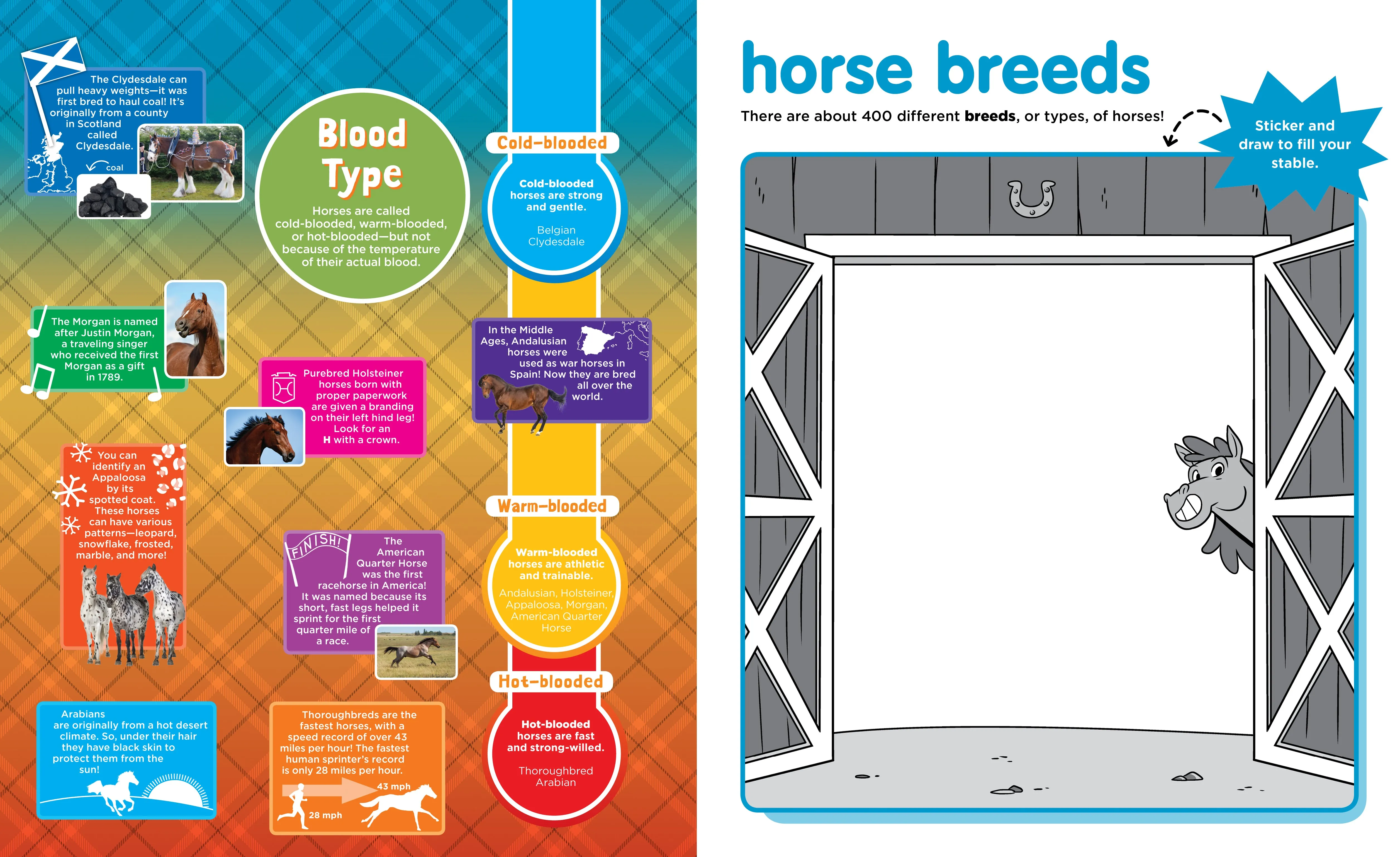 Peel   Discover: Horses