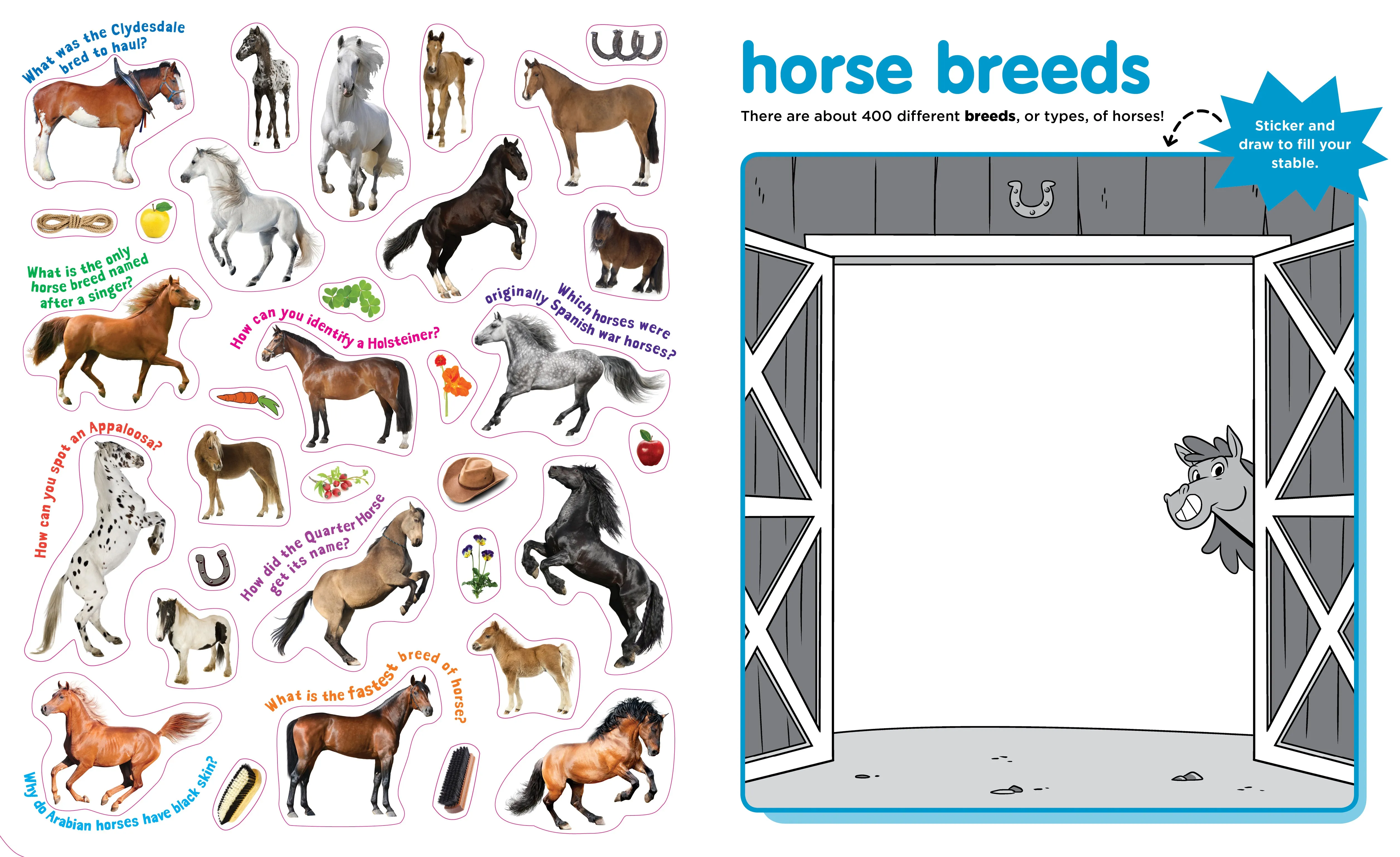 Peel   Discover: Horses