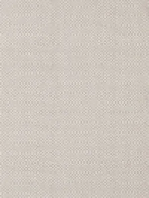 Petit Diamond Platinum/Ivory Indoor/Outdoor Rug(2.5'X8' RUNNER) CALL FOR PRICING