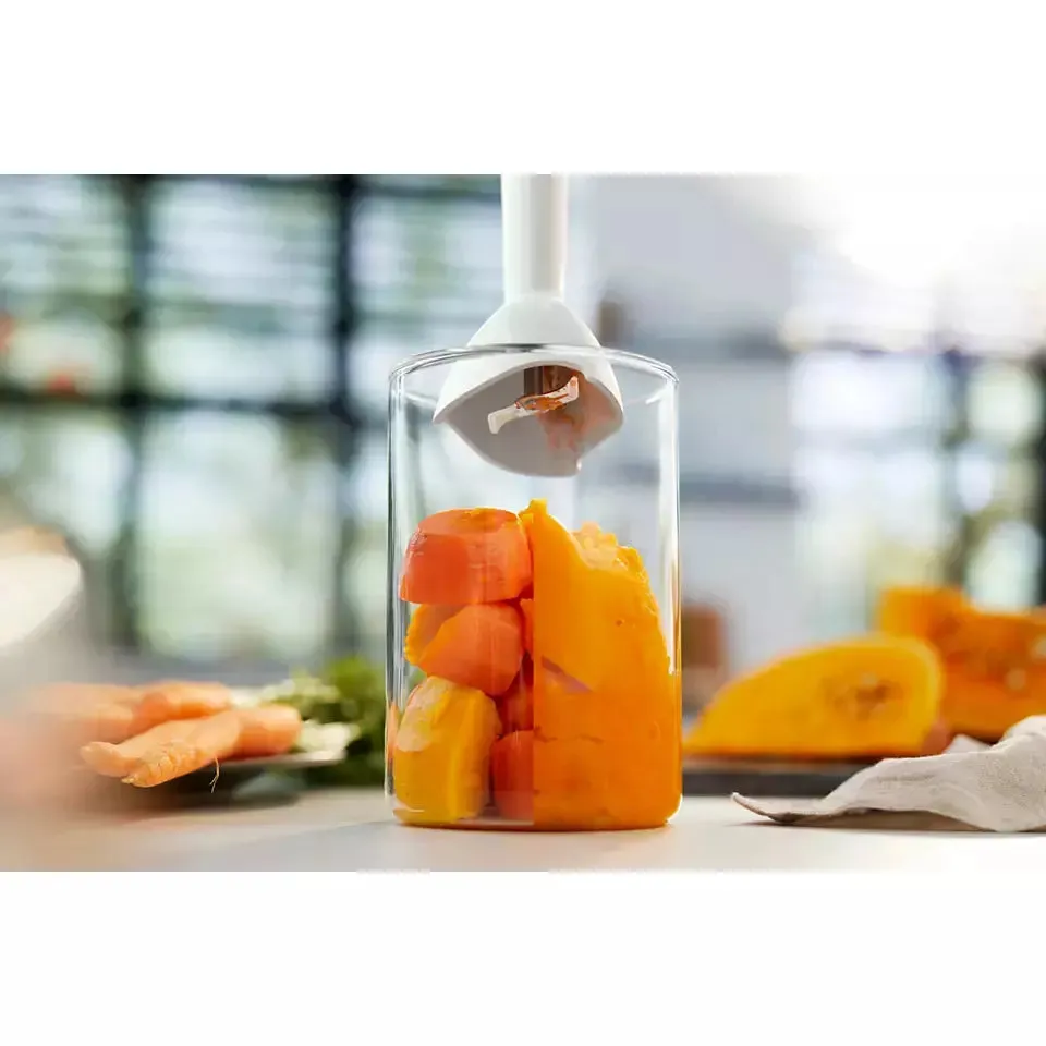 Philips Promix Stick Blender  Hr2520/00