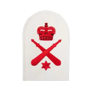 Physical Training Instructor Colour Sergeant Royal Marines Qualification Badge