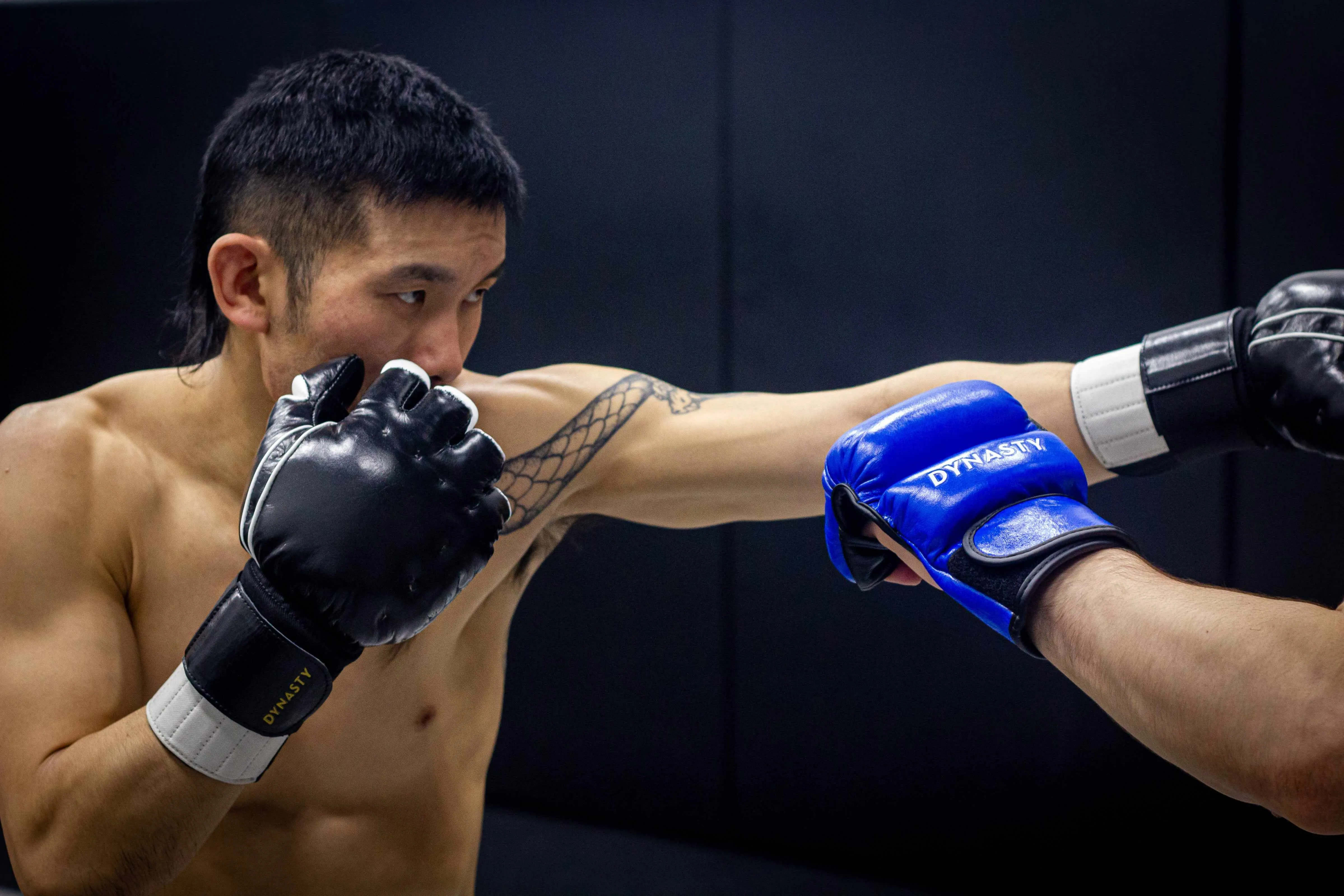 "Enter The Dragon" Old School Kung Fu Combat Gloves (Black)