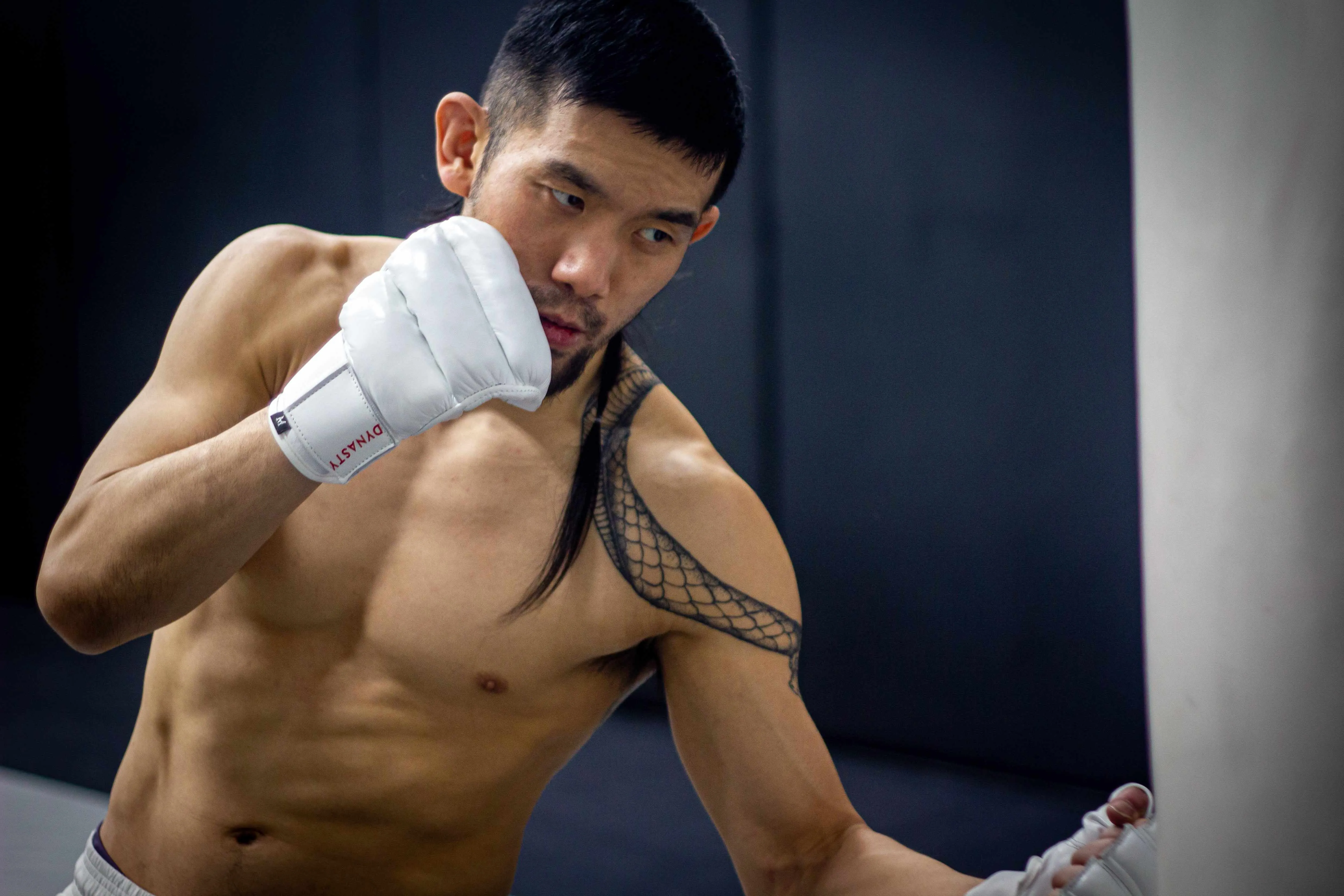 "Ultimate" Kyokushin / Kudo Karate Combat / MMA Gloves