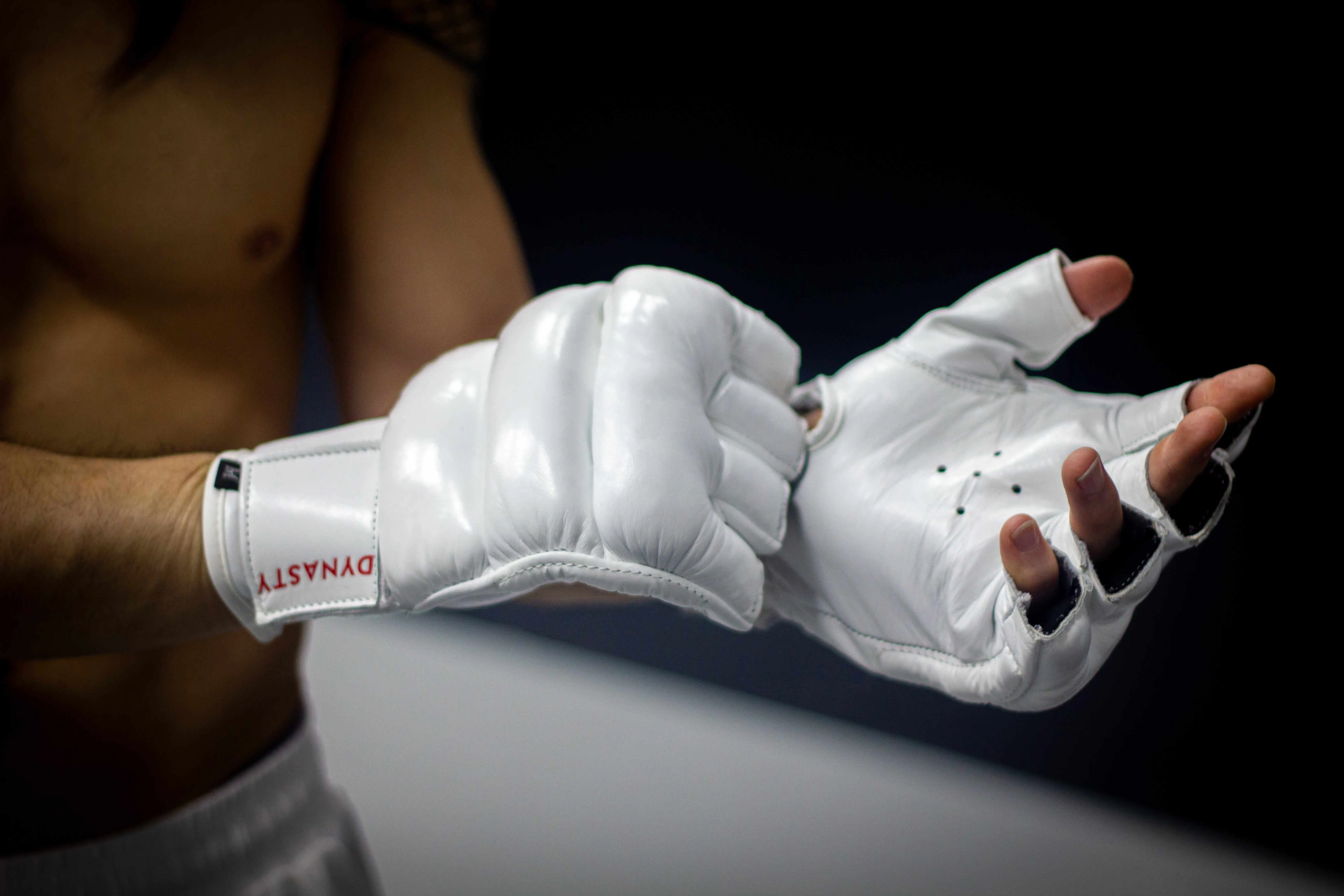 "Ultimate" Kyokushin / Kudo Karate Combat / MMA Gloves