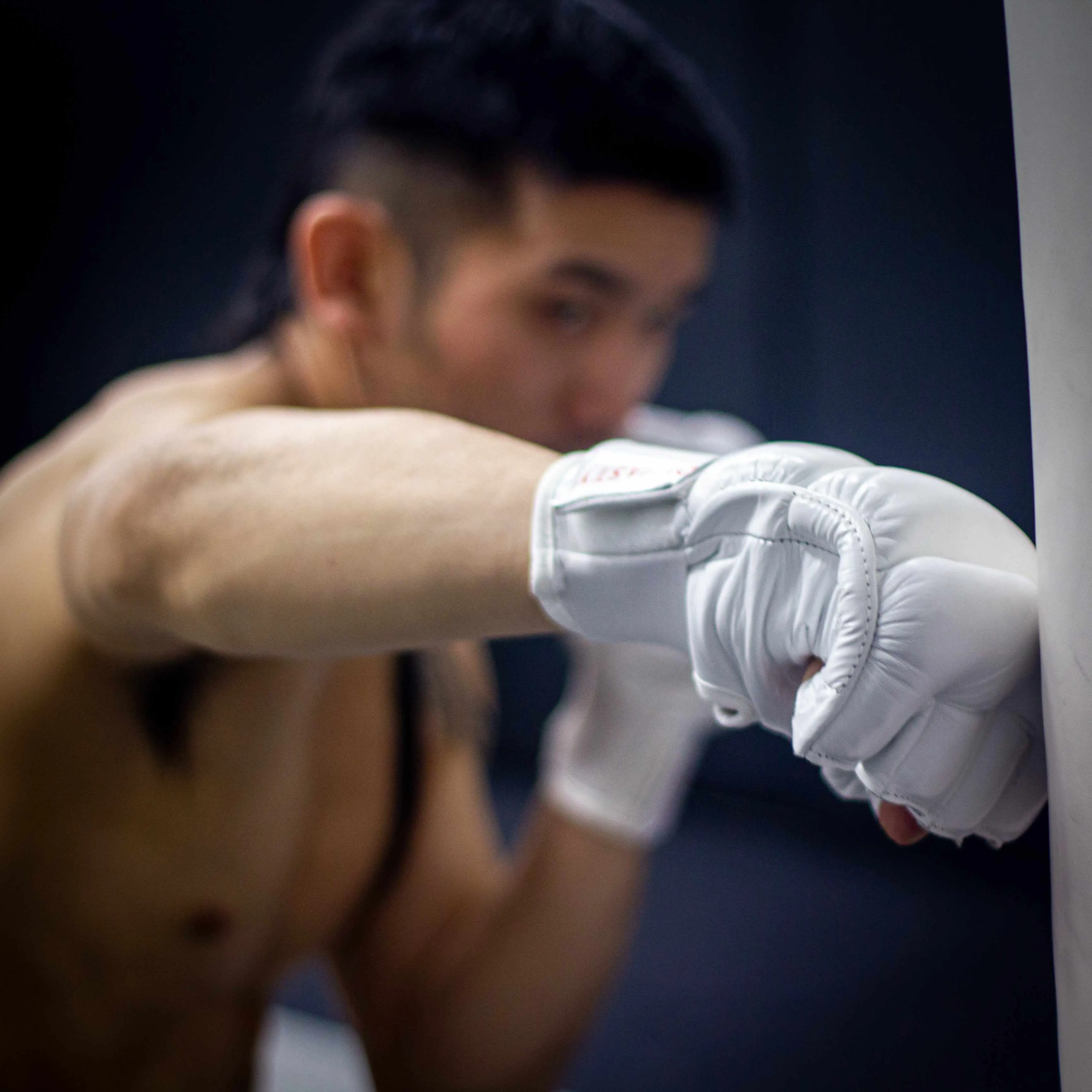 "Ultimate" Kyokushin / Kudo Karate Combat / MMA Gloves