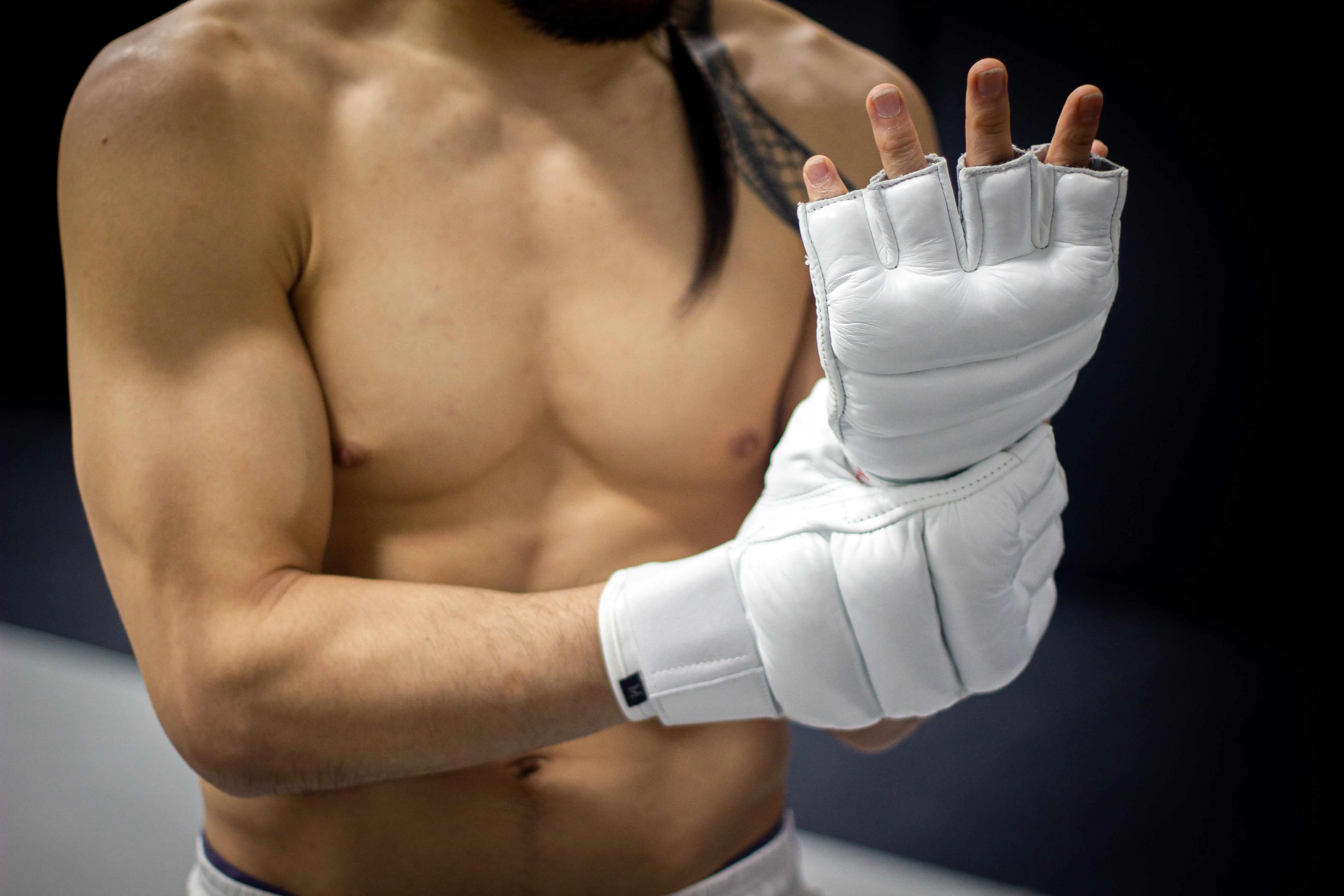 "Ultimate" Kyokushin / Kudo Karate Combat / MMA Gloves