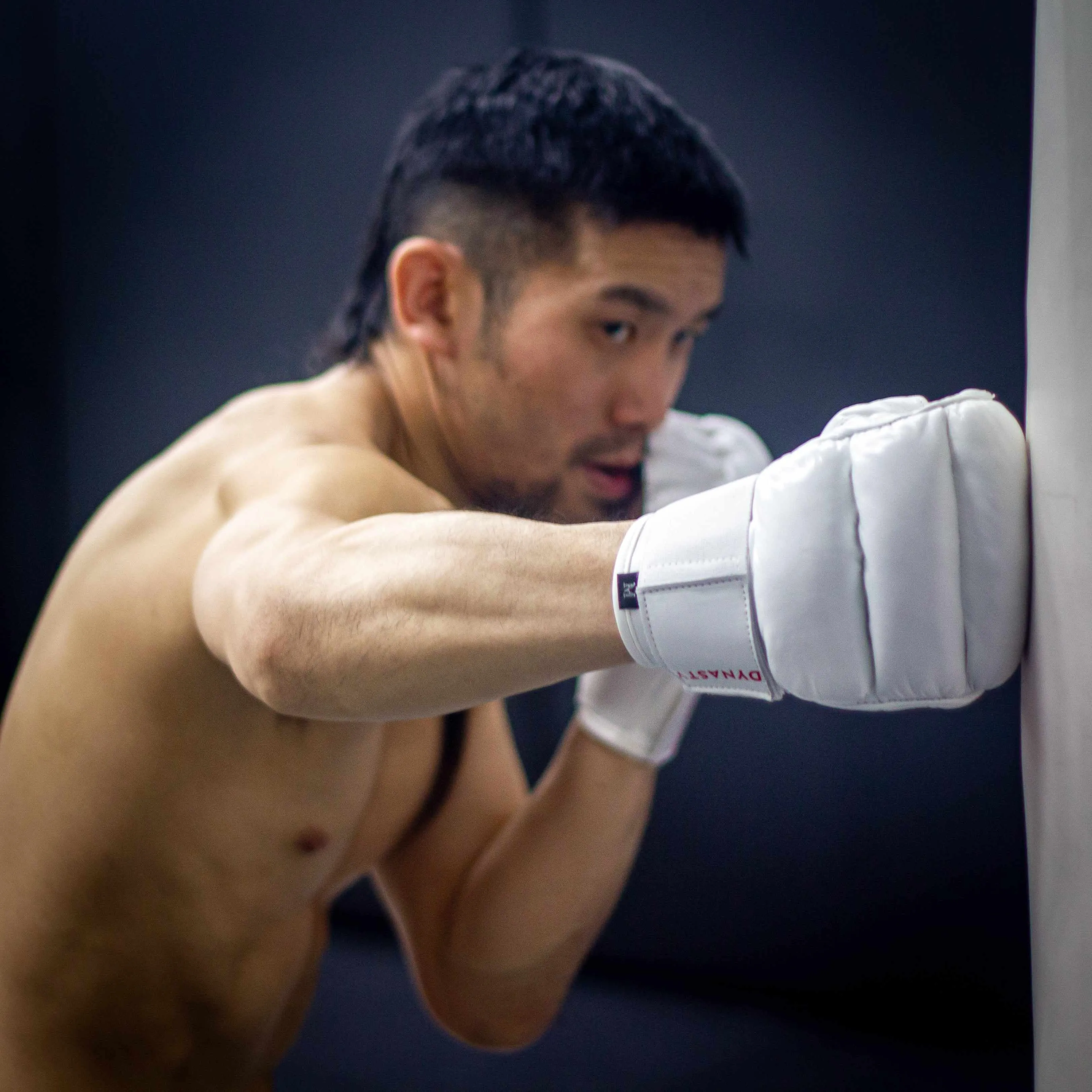"Ultimate" Kyokushin / Kudo Karate Combat / MMA Gloves