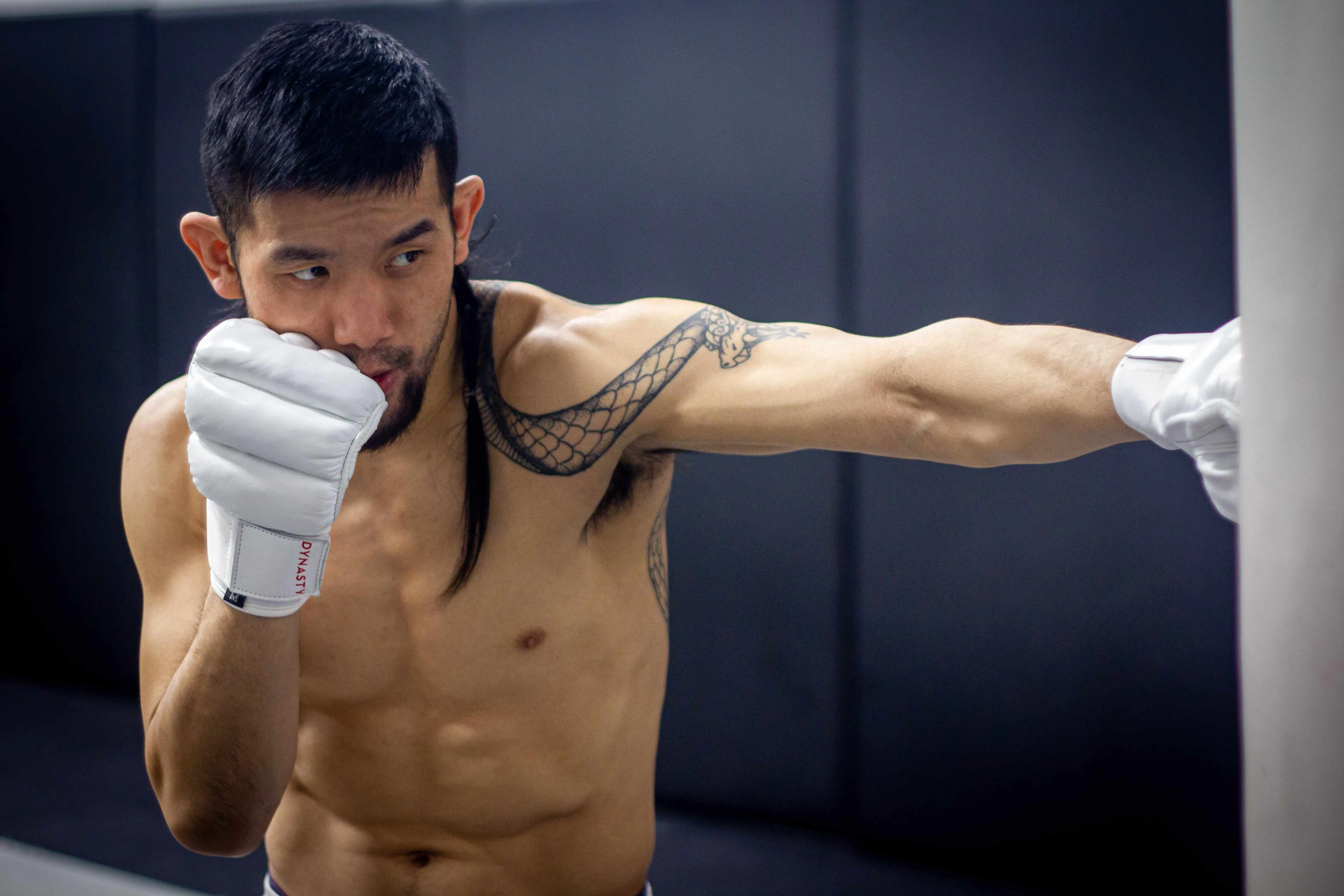 "Ultimate" Kyokushin / Kudo Karate Combat / MMA Gloves